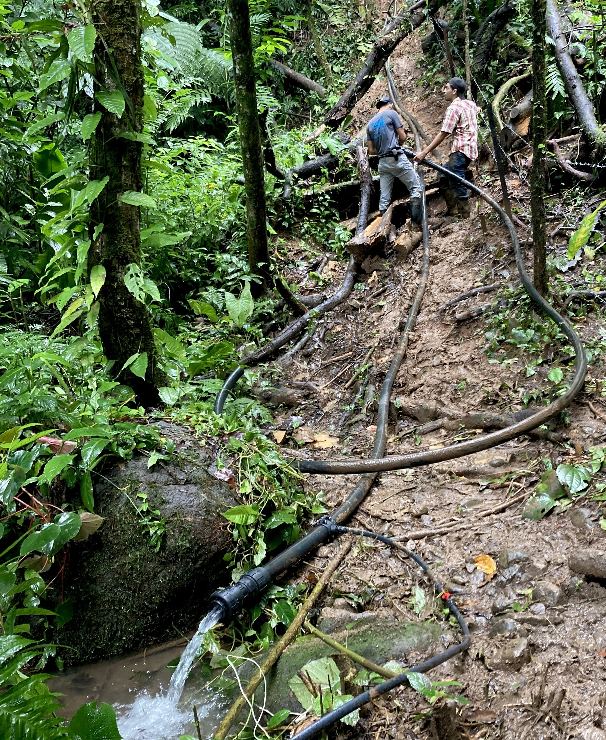 Moving water with gravity through PVC pipes in the Costa Rican jungle.