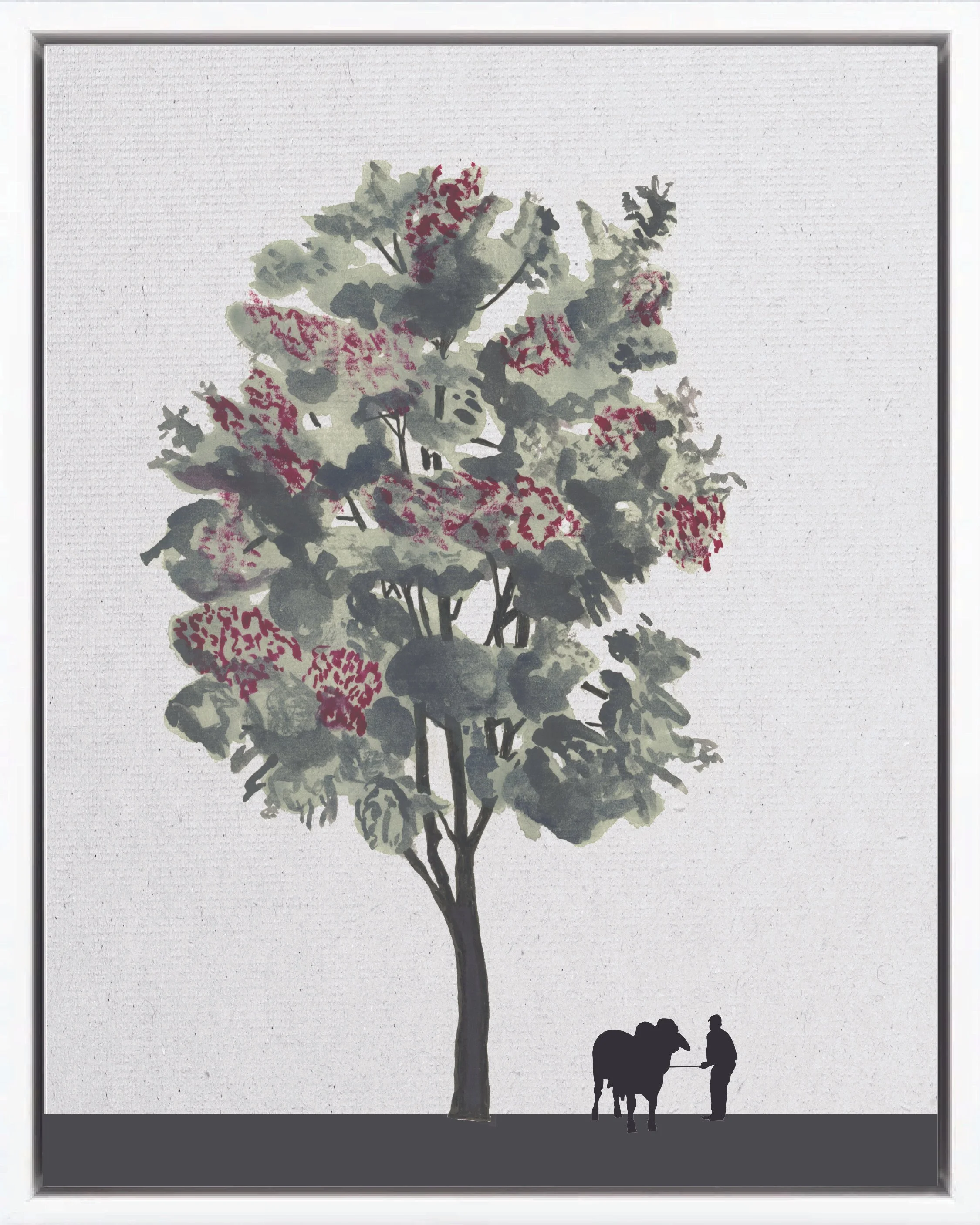 Illustration of Cirrí colorado ("Red cirrí," cirrí amarillo, dantisco de montaña), Mauria heterophylla, late secondary reforestation tree of Costa Rica's Neotropical Isthmian-Atlantic slope, at mature height with figure for scale.