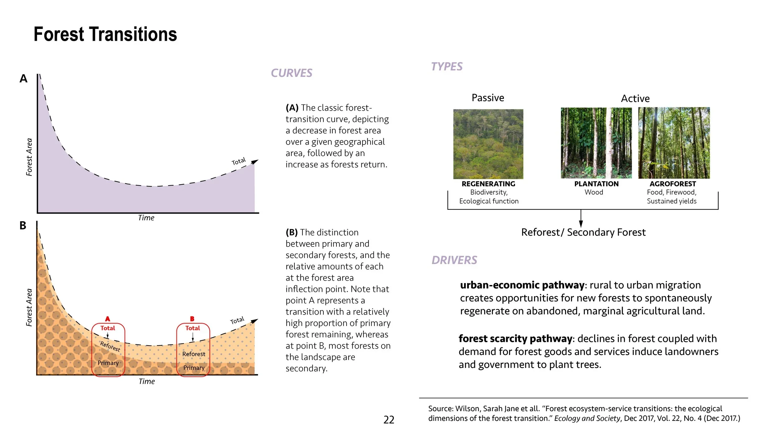 World map showing REDD+ projects in orange and REDD+ supporters in purple across various countries, including Brazil, Indonesia, and some African and Asian nations. Text explains REDD+ as a mechanism to create incentives for developing countries to protect and manage forest resources, involving financial value for carbon stored in trees, with developed countries paying developing countries for their standing forests.