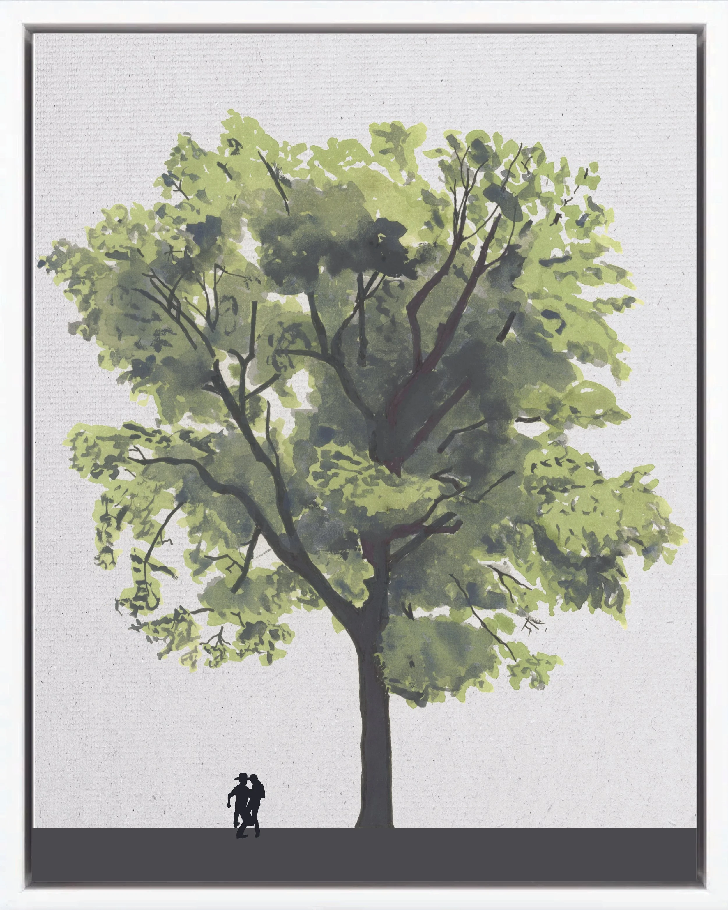 Illustration of Níspero (Níspero tinto, chicle, sapodilla), Manilkara staminodella, climax canopy reforestation tree of Costa Rica's Neotropical Isthmian-Atlantic slope, at mature height with figure for scale.