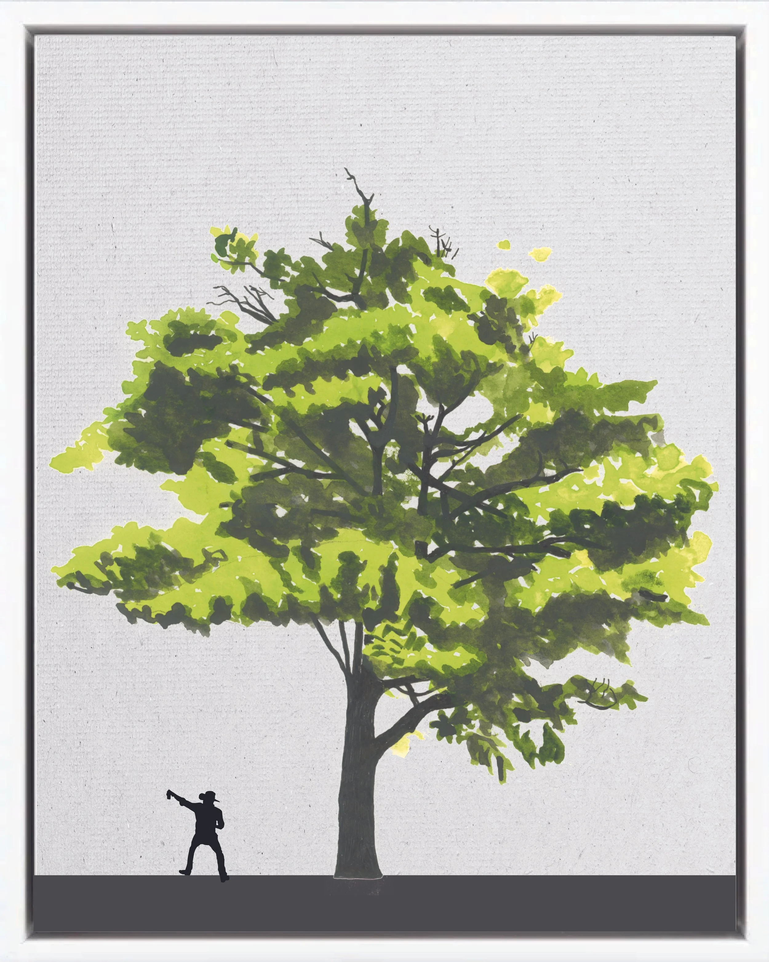 Illustration of Yos (Milkwood; lecherón, curupí, leche de olivo, olivo macho, pijiño), Sapium glandulosum, fast pioneer reforestation tree of the Isthmian-Atlantic slope, at mature height with figure for scale.