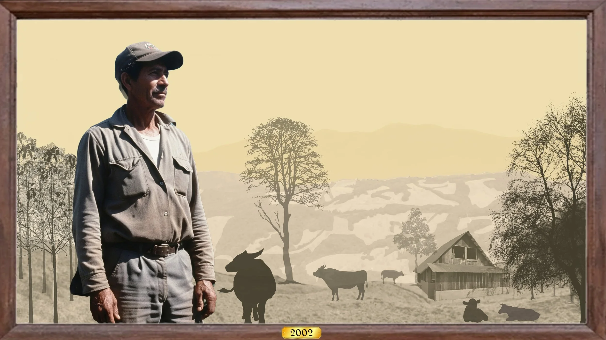 A collage by Malcolm Wyer that imagines reforestation efforts in Costa Rica in 2002, at the height of the environmental service period.