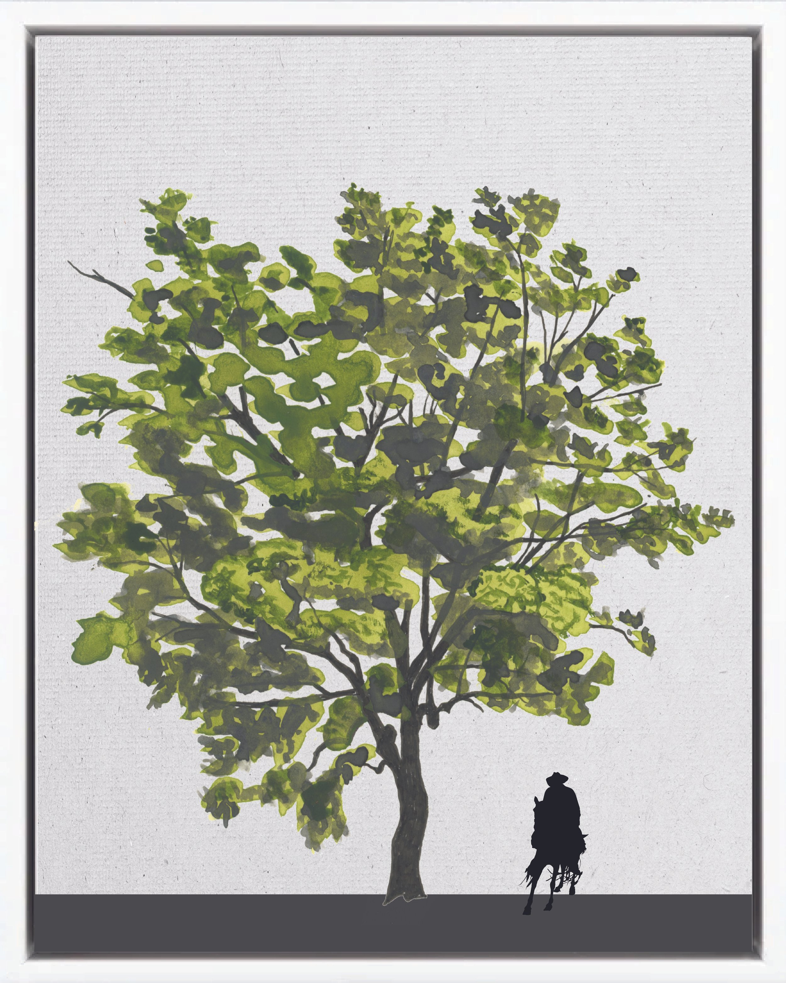 Hand-illustrated portrait of Poró de humedal (Purple coraltree; pito, gallito, elequeme, cachimbo colorado), Erythrina fusca, nitrogen-fixing pioneer reforestation tree of the Isthmian-Atlantic slope, at mature height with figure for scale.