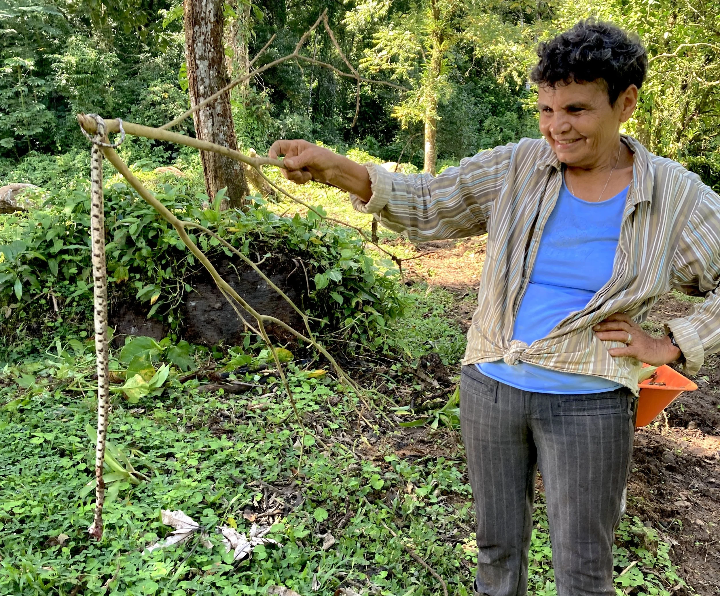 A woman hold a dead snake off the end of a stick in Costa Rica.