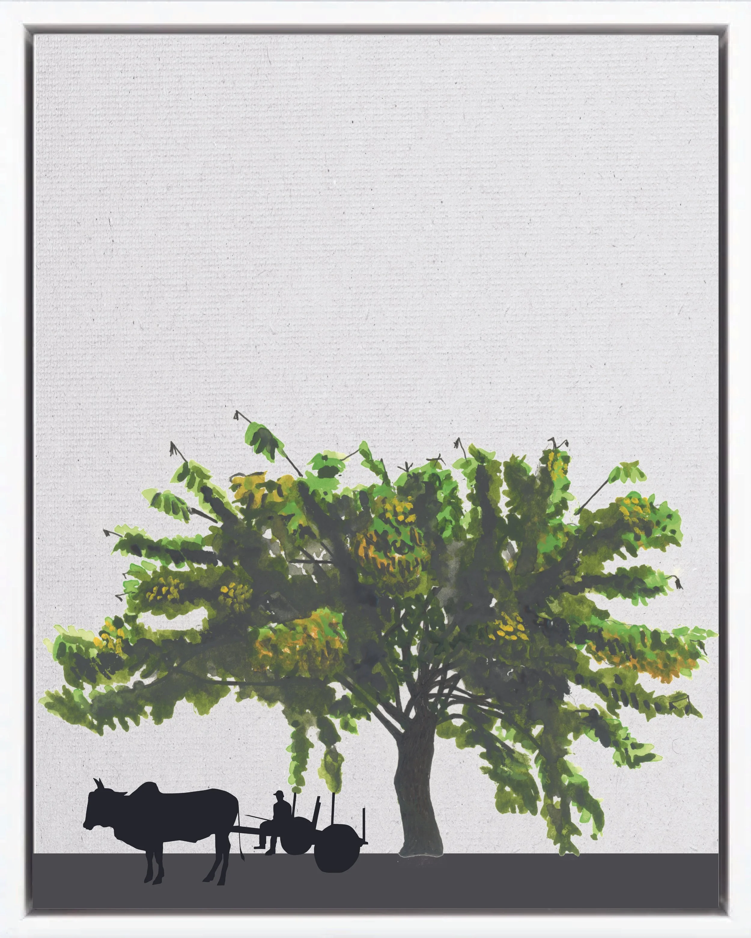 Illustration of Vainillo (Yellow bells; sardinillo, tronadora, amarguito, cholán, guarán amarillo), Tecoma stans, fast pioneer reforestation tree of the Isthmian-Atlantic slope, at mature height with figure for scale.