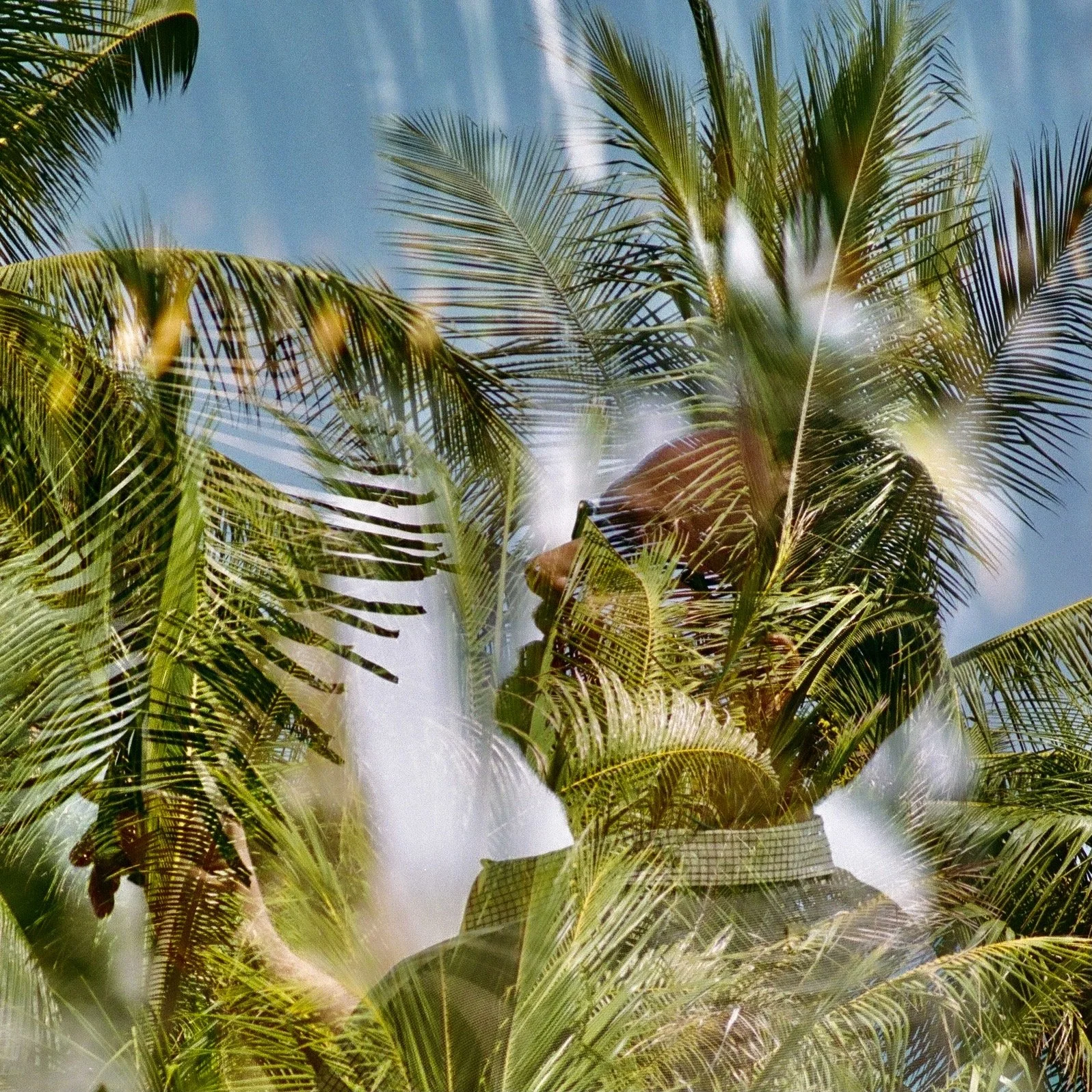 A double exposure 35mm print of Malcolm and palm trees at Rancho Garza.