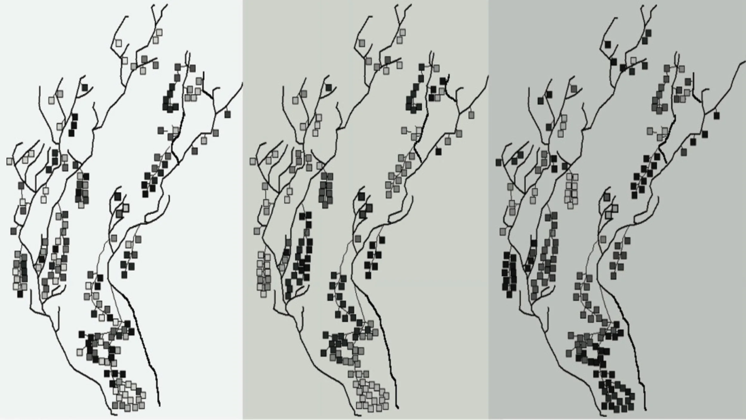 Three diagrams of a branching structure with small square markings in black, gray, and white, showing different arrangements on a light background.