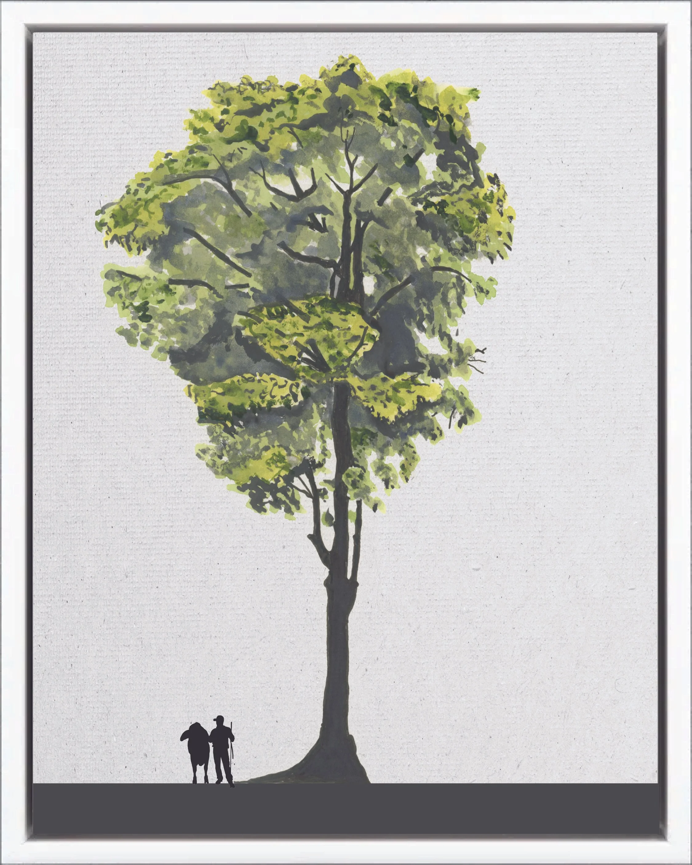 Illustration of Higuerón (Amate fig, chilamate, higuera blanca), Ficus insipida, climax canopy reforestation tree of Costa Rica's Neotropical Isthmian-Atlantic slope, at mature height with figure for scale.