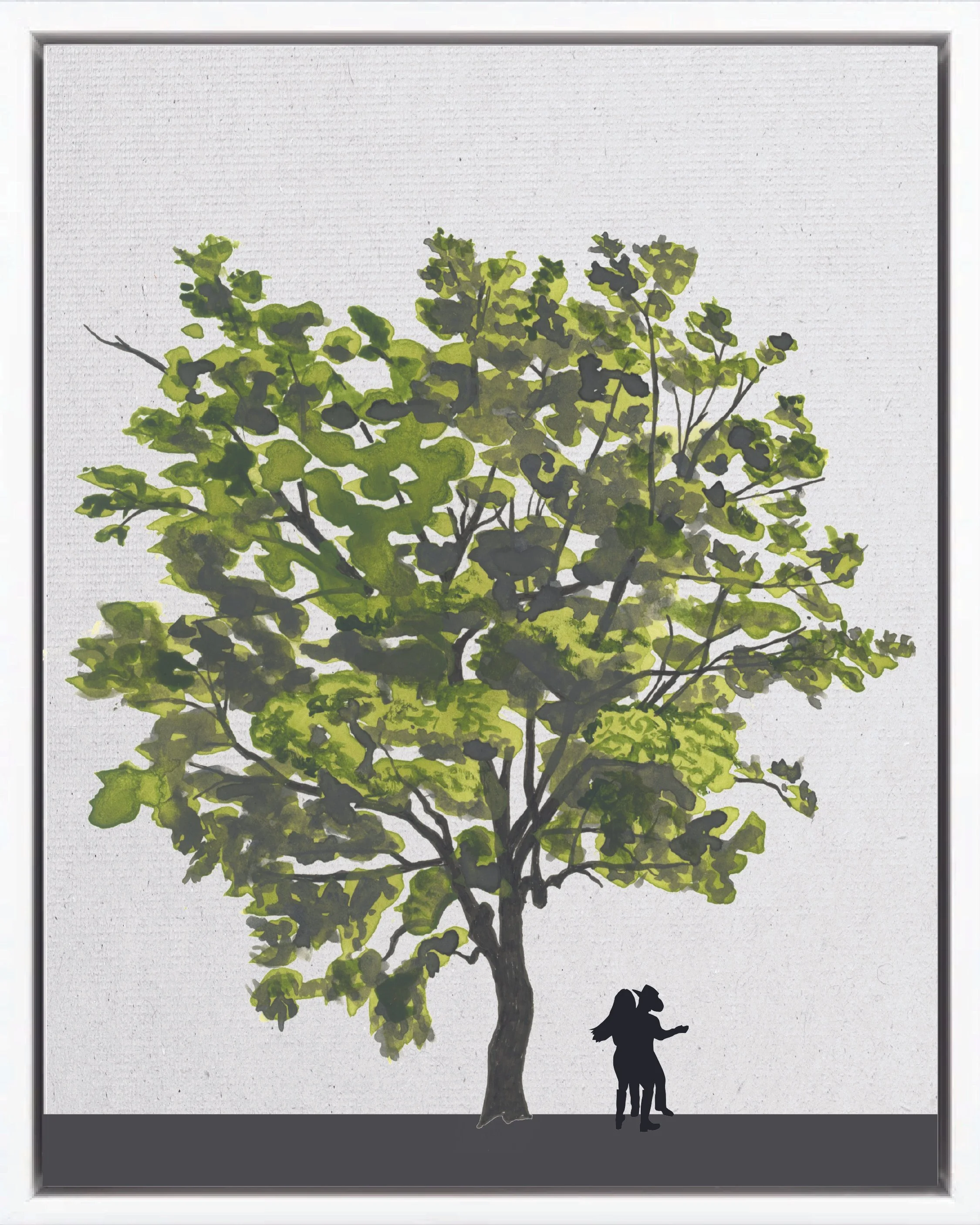 Hand-illustrated portrait of Poró de humedal (Purple coraltree; pito, gallito, elequeme, cachimbo colorado), Erythrina fusca, nitrogen-fixing pioneer reforestation tree of the Isthmian-Atlantic slope, at mature height with figure for scale.