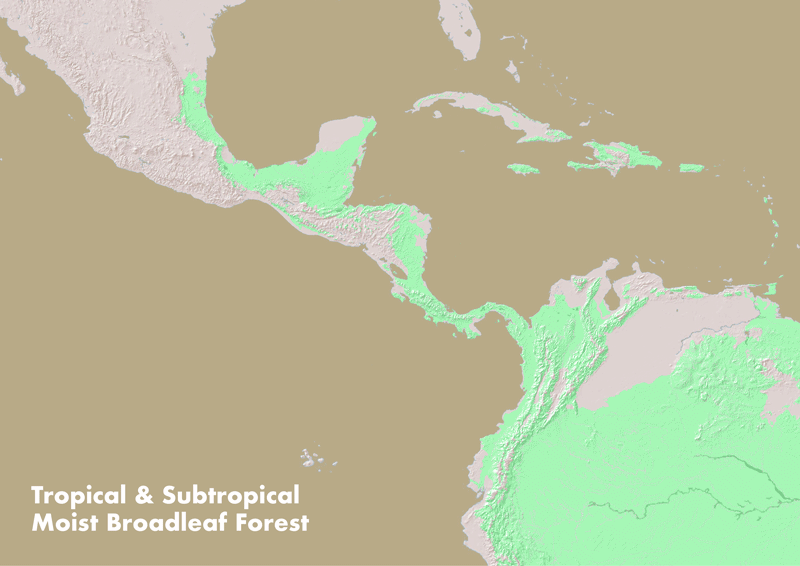 Animated Zoom-in GIF Map showing Central America, the Tropical Moist Broadleaf forest biome, and Rancho Garza in Costa Rica.