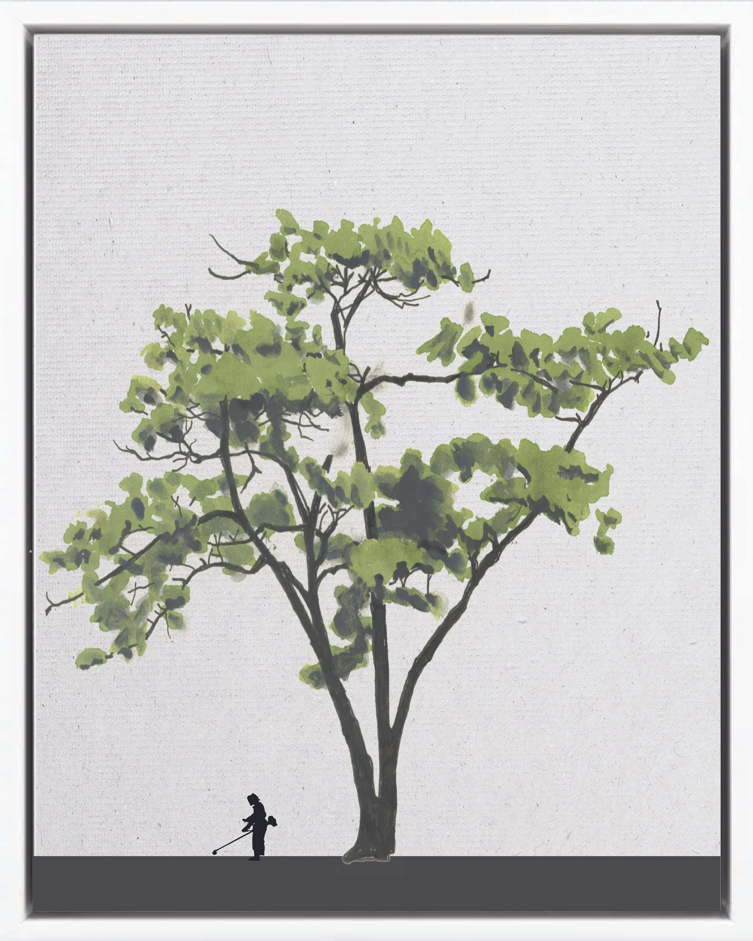 Illustration of Balsa (balso, burillo, enea, nisperillo), Ochroma pyramidale, fast pioneer reforestation tree of the Isthmian-Atlantic slope, at mature height with figure for scale.