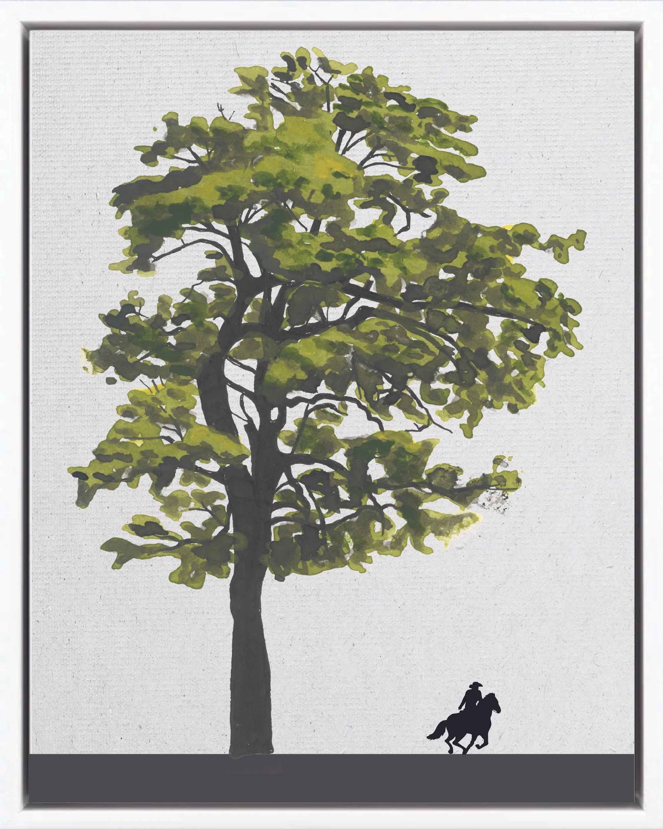 Illustration of Roble sabana (Pink trumpet tree, apamate, maquilishuat), Tabebuia rosea, late secondary reforestation tree of Costa Rica's Neotropical Isthmian-Atlantic slope, at mature height with figure for scale.