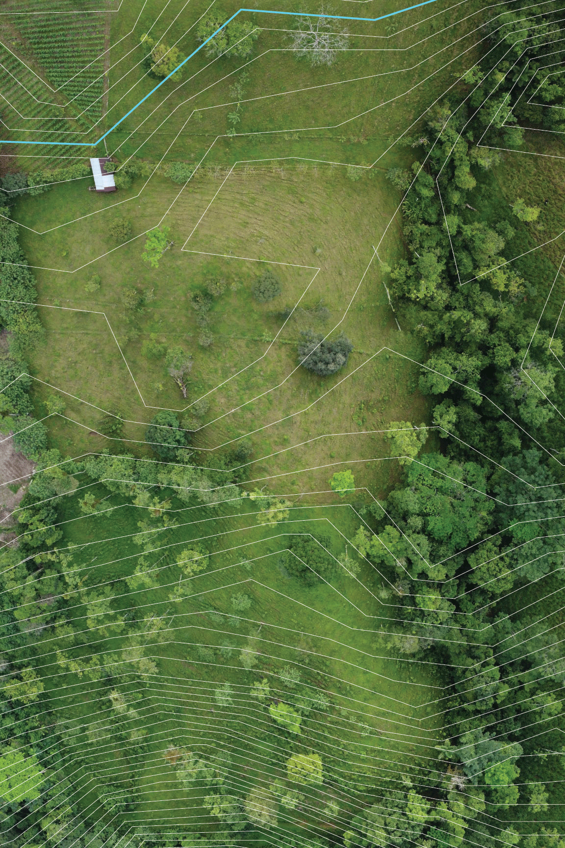 Aerial view of a green landscape with trees, grass, and a small building, overlaid with white boundary lines.