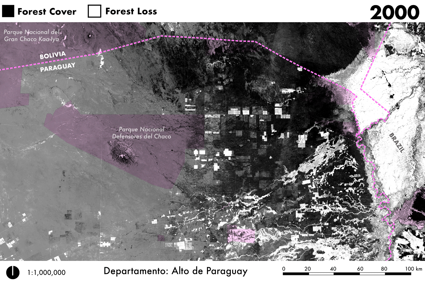 Timelapse GIF showing forest loss by year--200-2024--in Alto de Paragauay, the Chaco.