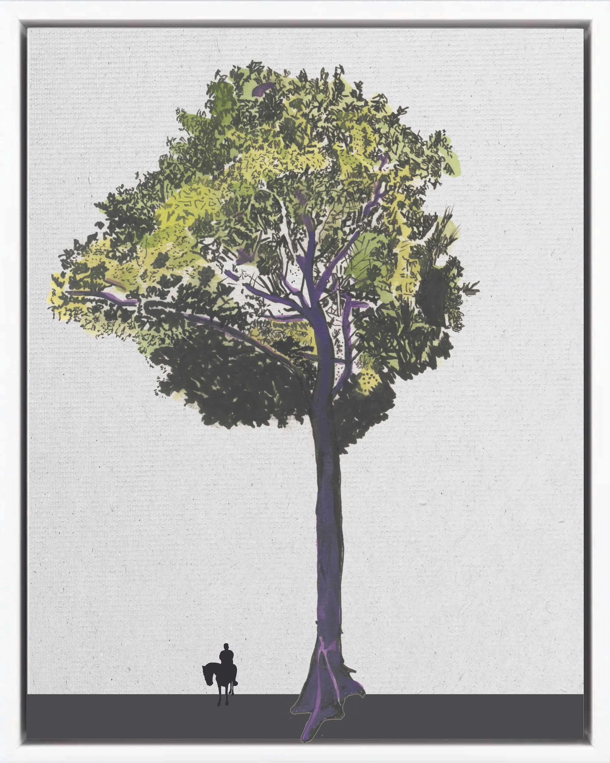 Illustration of Pilón (Nancitón, mascarey, zapatero), Hyeronima alchorneoides, climax canopy reforestation tree of Costa Rica's Neotropical Isthmian-Atlantic slope, at mature height with figure for scale.