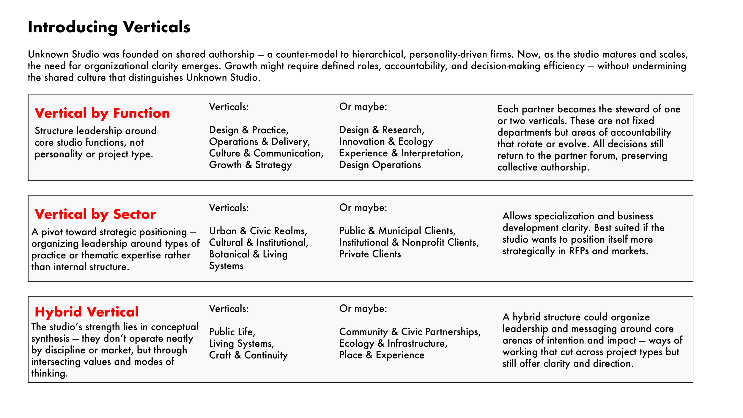 A text-based infographic explaining the concept of verticals in a studio organization, divided into three sections: Vertical by Function, Vertical by Sector, and Hybrid Vertical. Each section describes the purpose, typical verticals, possible roles, and benefits.