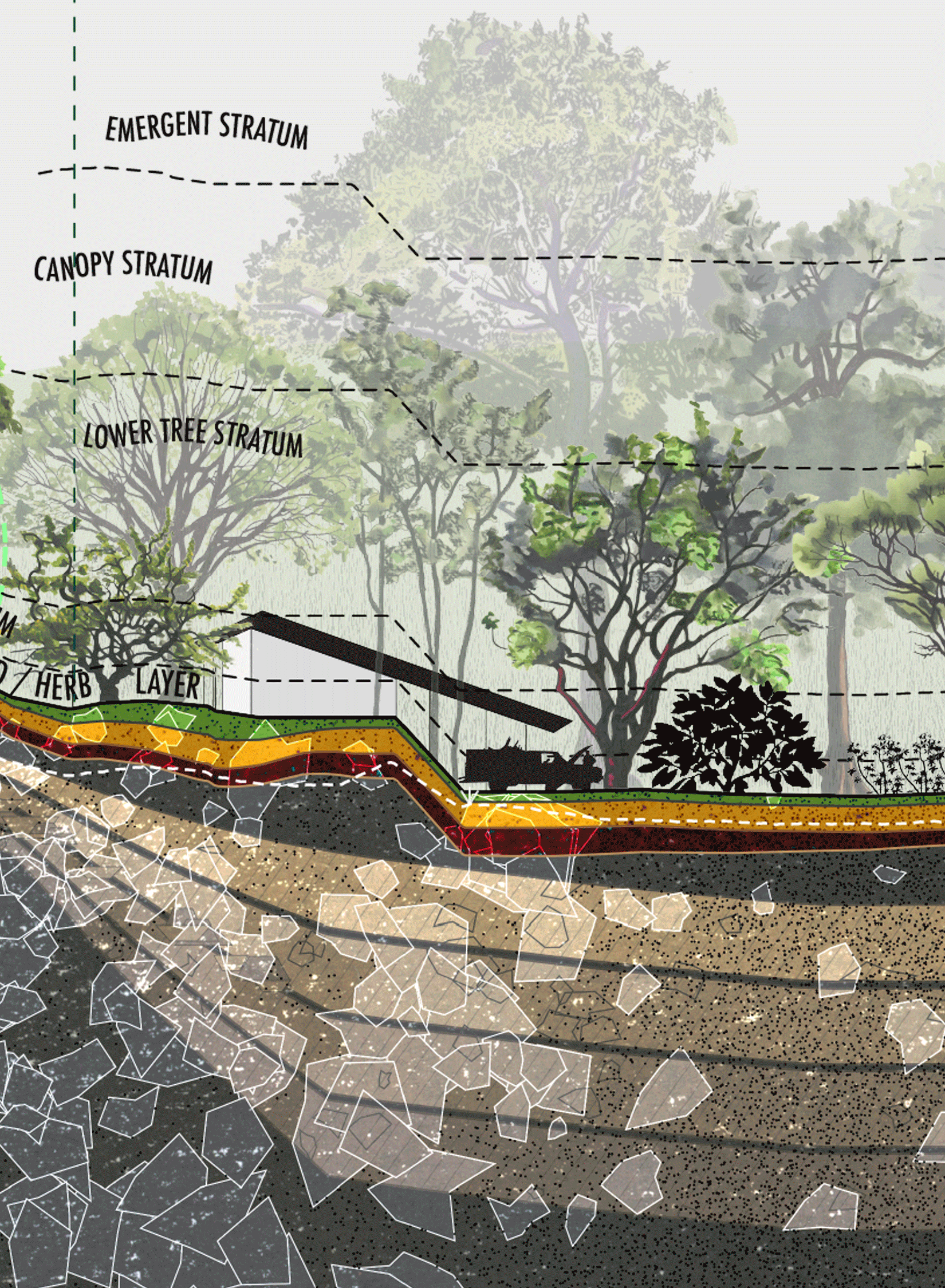 An animated gif depicting silvopasture, riparrian, and agroforestry reforestation planting in Costa Rica.