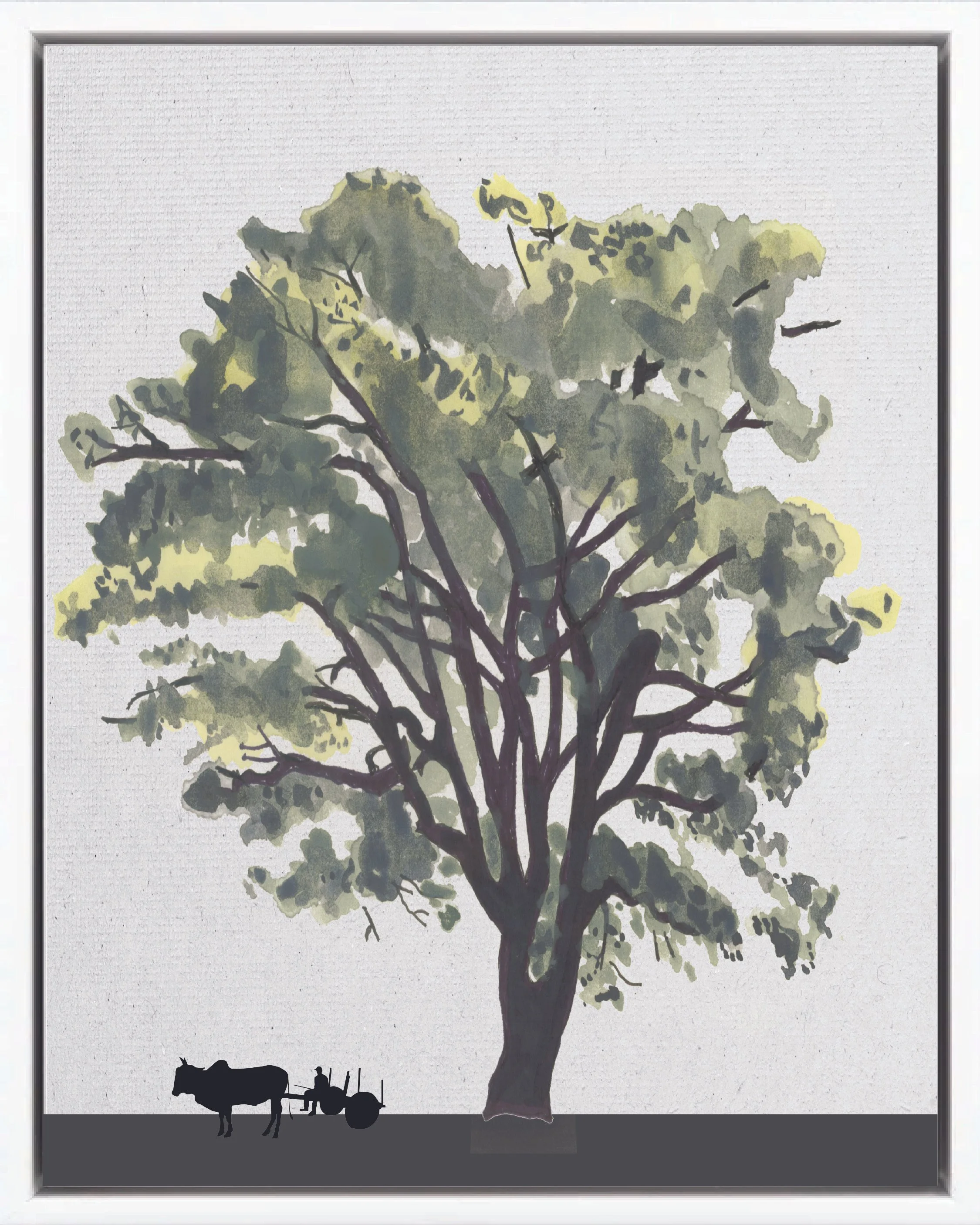 Illustration of Guapinol (Stinking toe, jatobá, algarrobo), Hymenaea courbaril, climax canopy reforestation tree of Costa Rica's Neotropical Isthmian-Atlantic slope, at mature height with figure for scale.