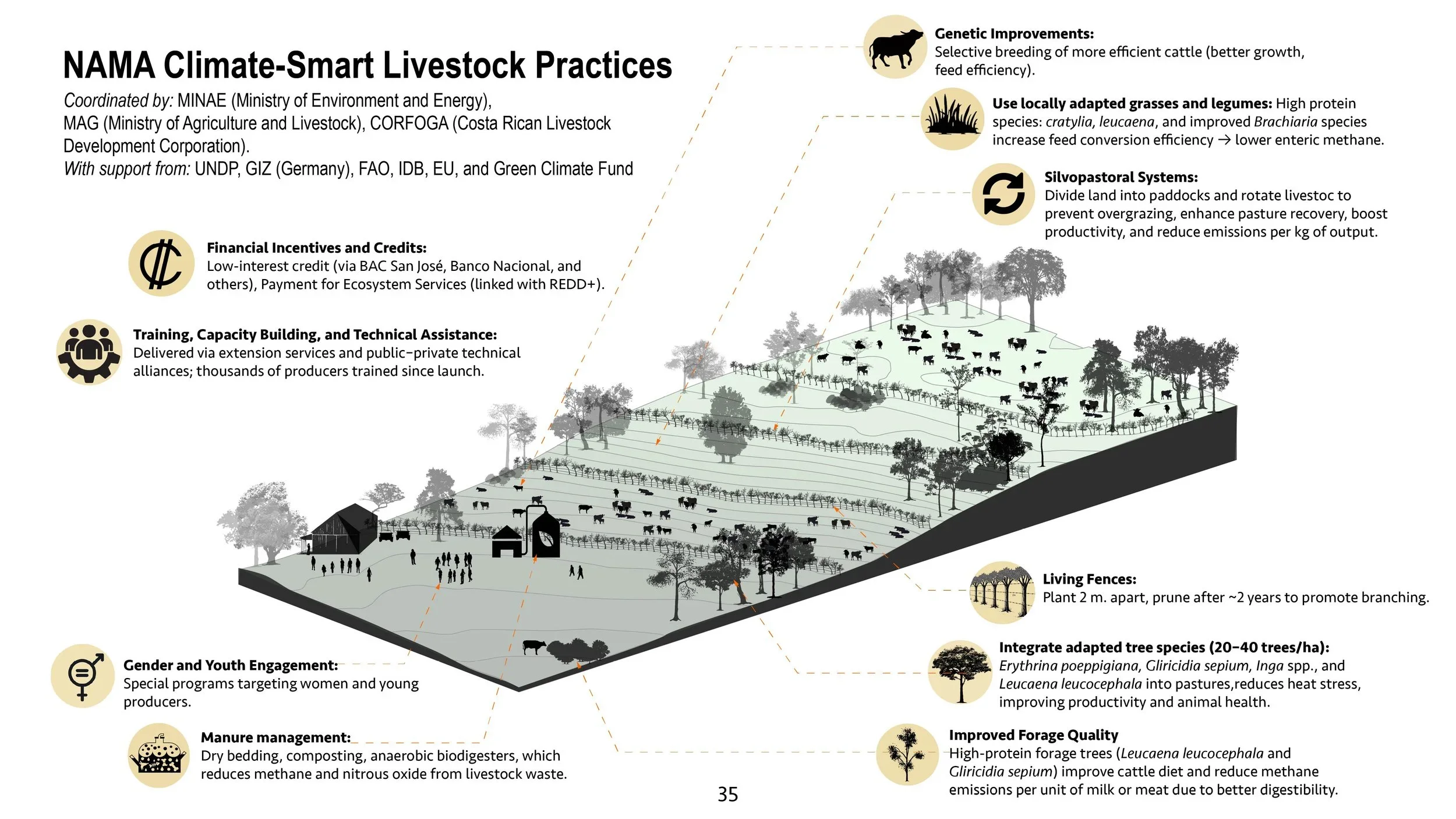 Infographic titled 'NAMA Climate-Smart Livestock Practices' showing a layered farm landscape with trees, livestock, and various farm activities, along with text describing practices such as financial incentives, training, silvopastoral systems, and integrated tree species for sustainable livestock management.