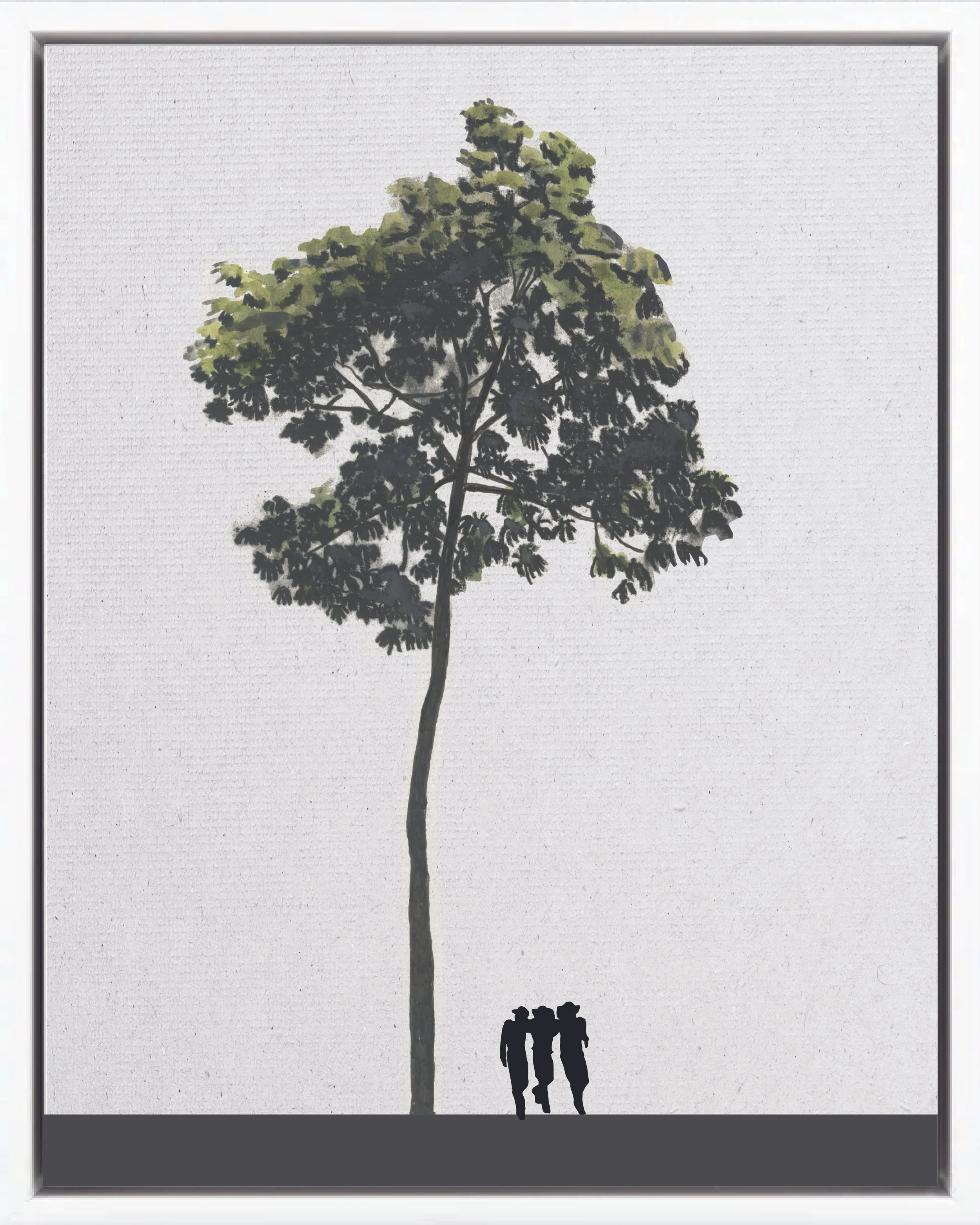 Illustration of Guarumo (Trumpet tree; guarumo colorado, yagrumo, yarumo, trompetillo), Cecropia obtusifolia, fast pioneer reforestation tree of the Isthmian-Atlantic slope, at mature height with figure for scale.