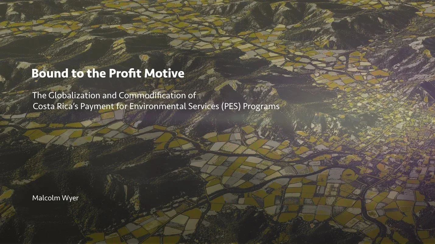 An aerial view of a landscape with mountains, forests, and patchwork fields in shades of green, yellow, and brown.