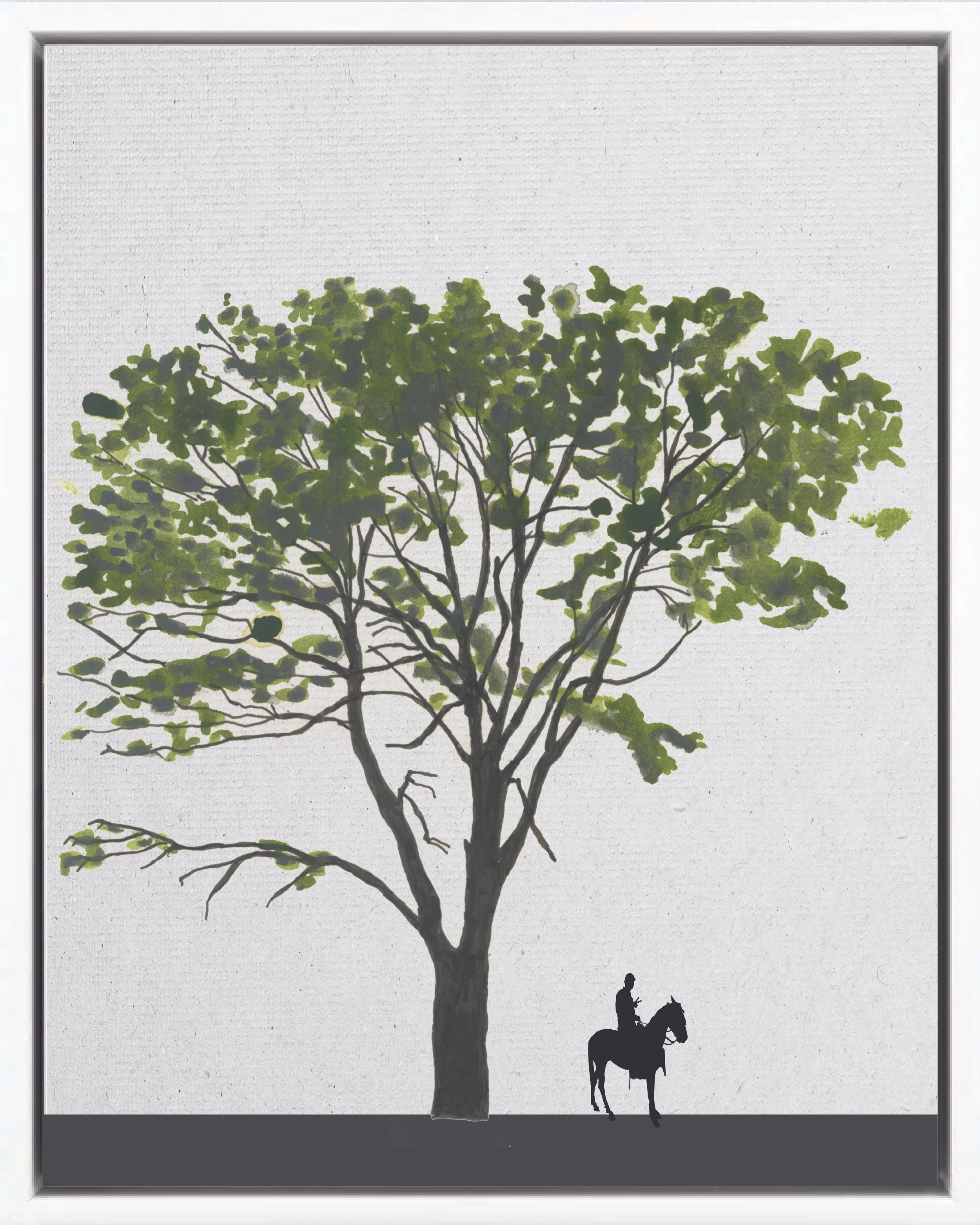 Hand-illustrated portrait of Poró (Poró gigante; poró extranjero, cachimbo, mountain immortelle, bucare), Erythrina poeppigiana, nitrogen-fixing pioneer reforestation tree of the Isthmian-Atlantic slope, at mature height with figure for scale.