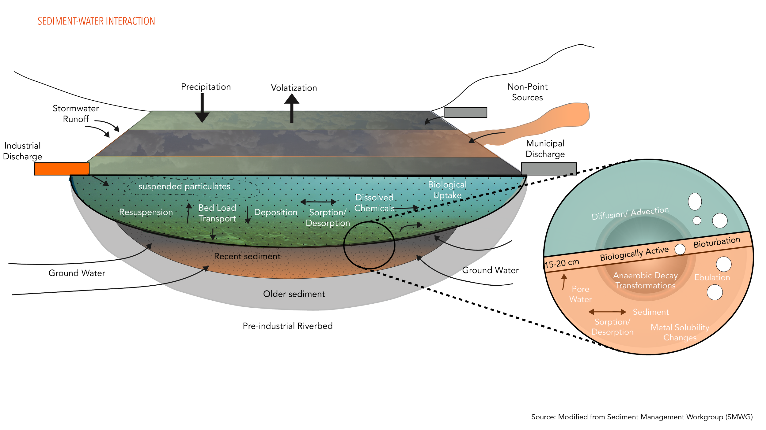 Diagram illustrating sediment-water interaction in a river environment, showing processes such as precipitation, resuspension, deposition, sorption/desorption, biological uptake, diffusion, advection, and various decay and transformation stages within sediment layers.