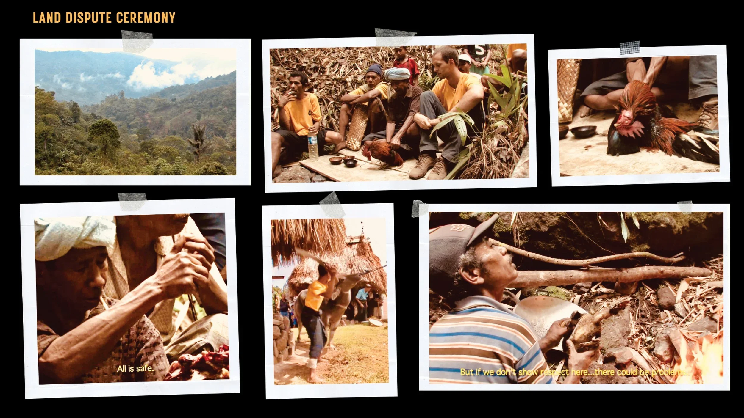 Photos of the buffalo and chicken sacrifices resolving a land dispute in Watu village during water system installation in Ngada region of Flores, Indonesia.