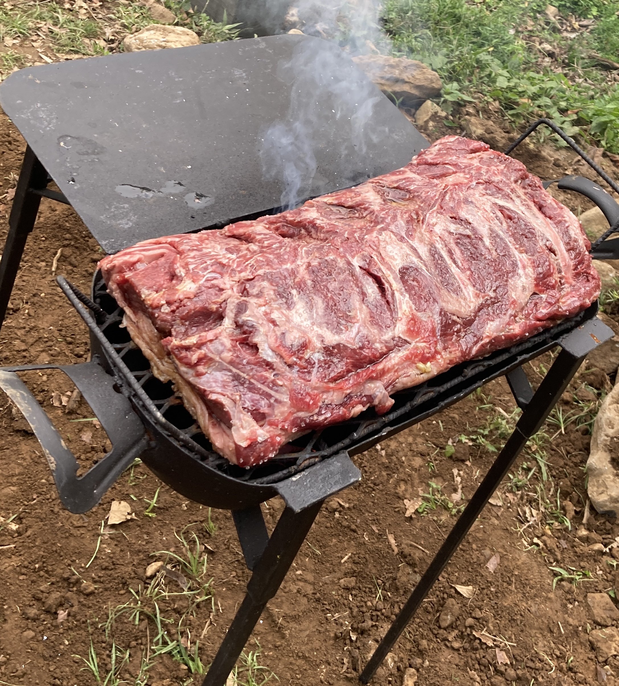 A ribeye steak was just thrown on the grill in Costa Rica.