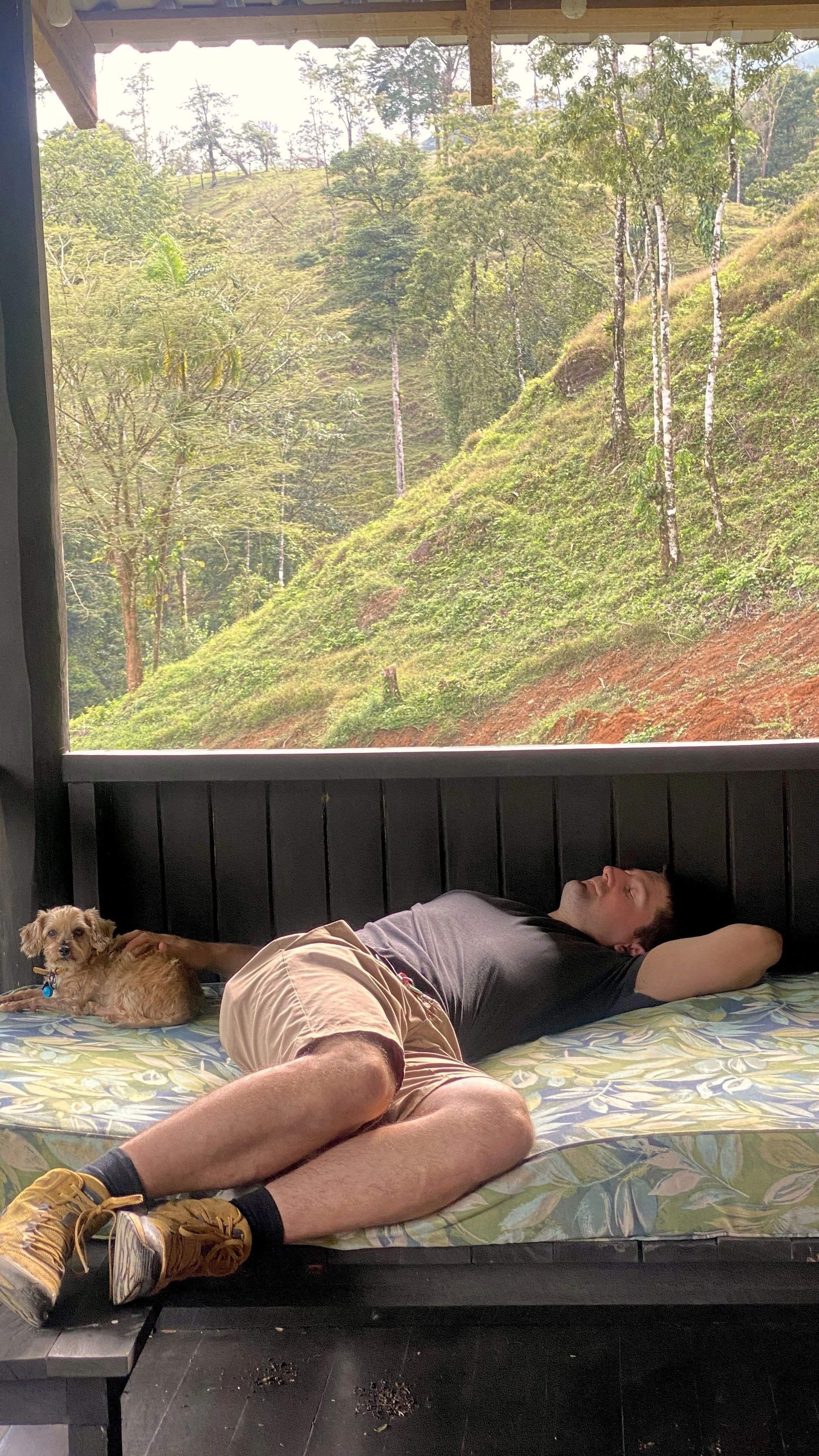 Brian lies across the day bed on the porch in the jungle of costa rica with a small dog.