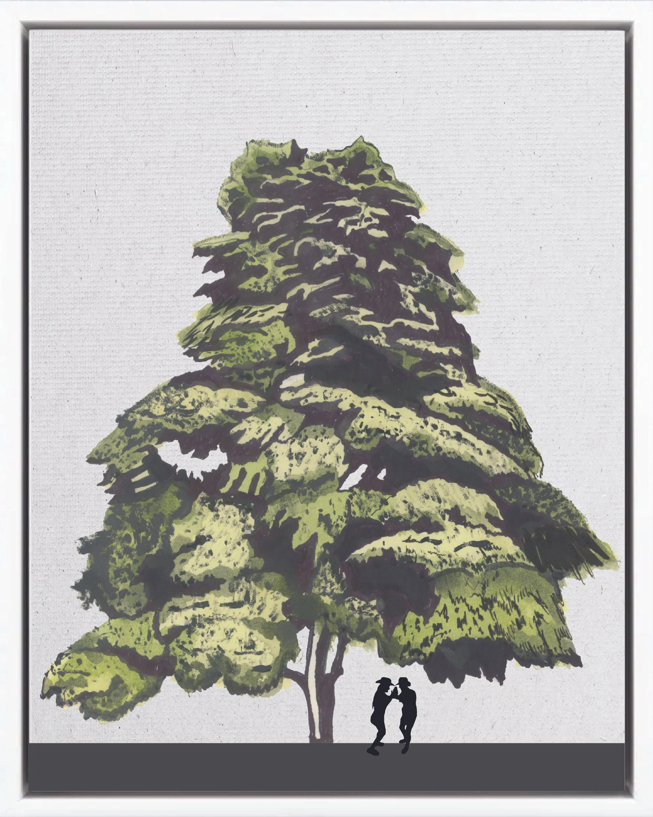 Illustration of Madroño (Lemonwood, sálamo, urraca), Calycophyllum candidissimum, late secondary reforestation tree of Costa Rica's Neotropical Isthmian-Atlantic slope, at mature height with figure for scale.