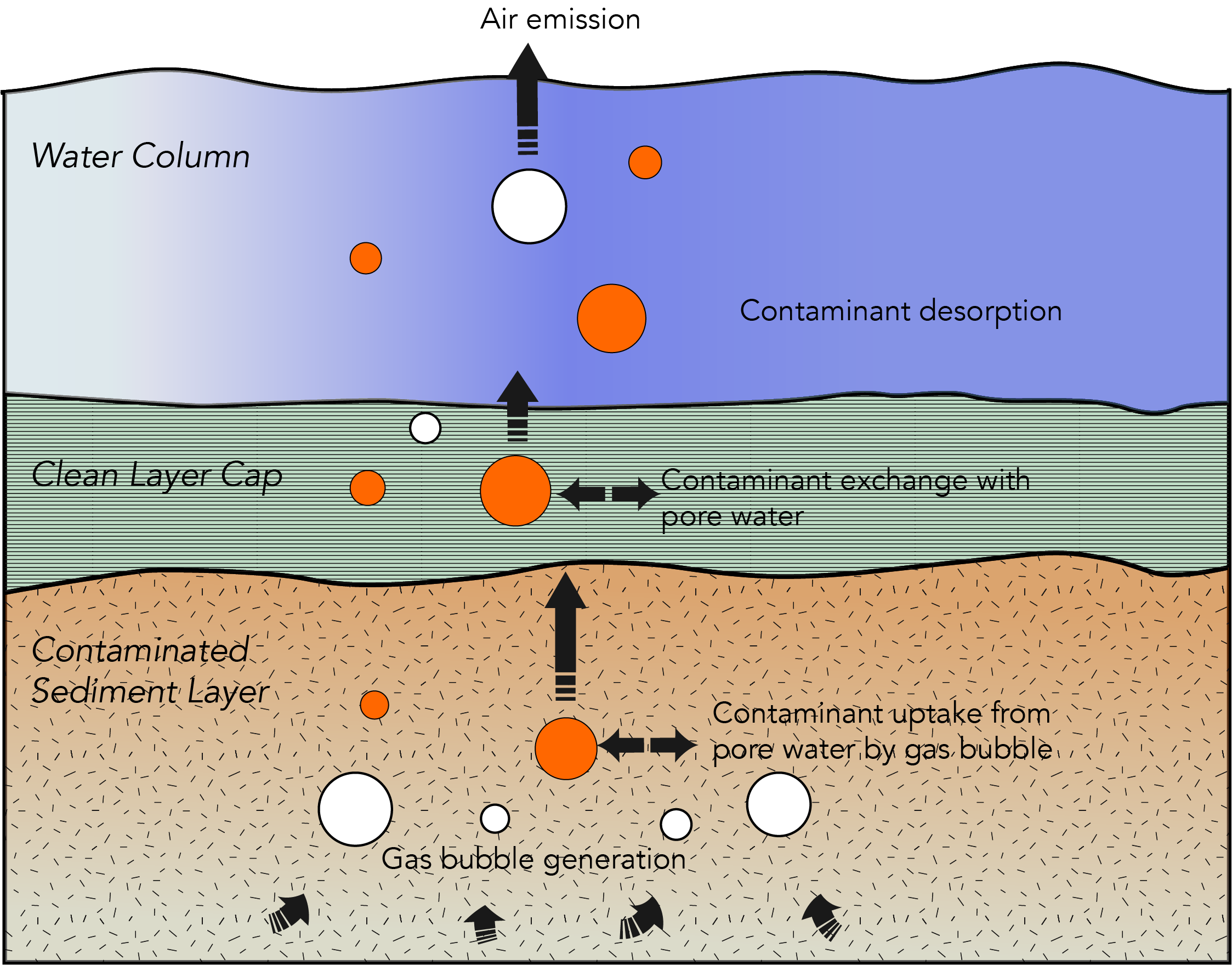 A diagram depicting in situ capping of PCB waste.