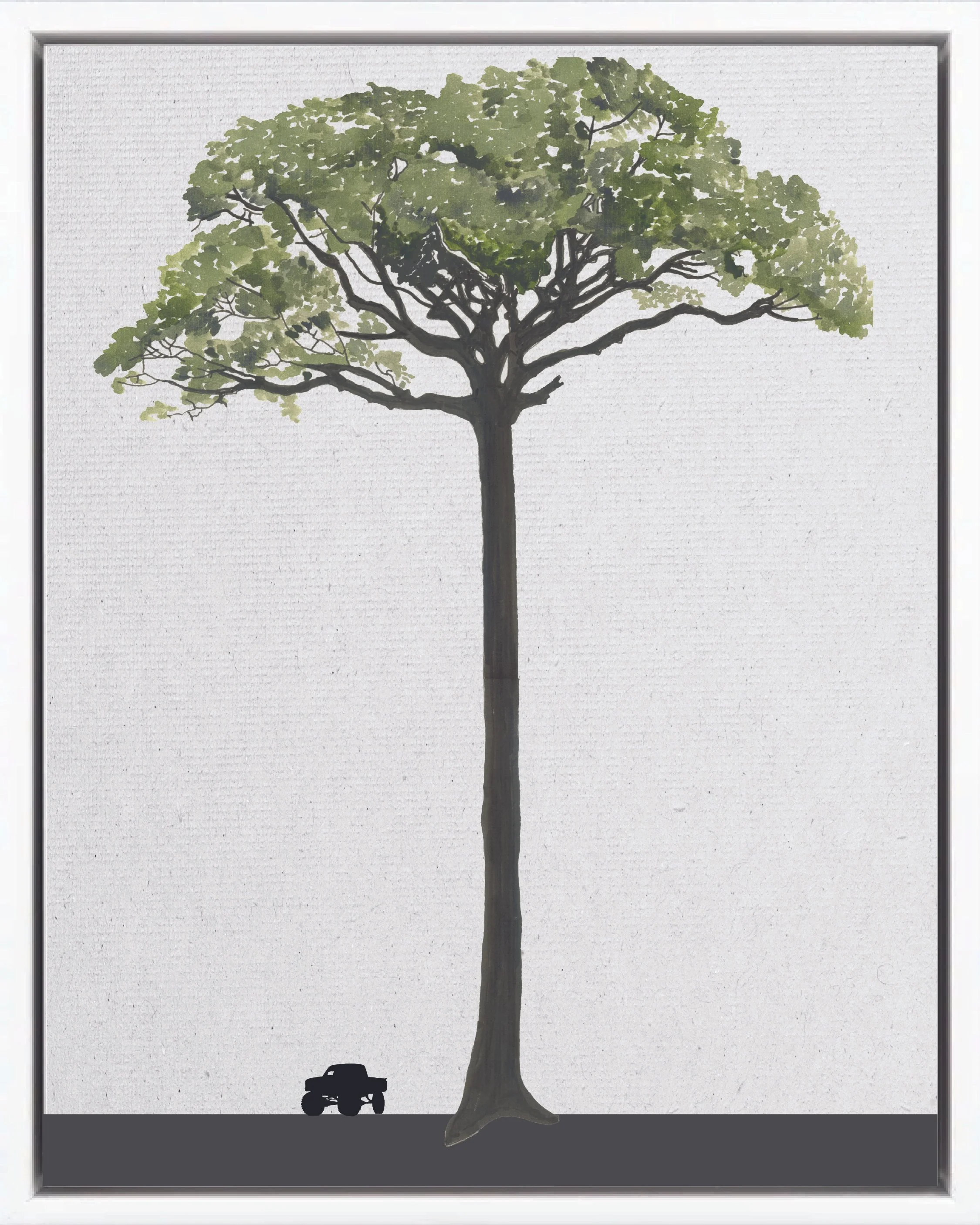Illustration of Ceiba (Kapok, ceibo, lupuna), Ceiba pentandra, climax emergent reforestation tree of Costa Rica's Neotropical Isthmian-Atlantic slope, at mature height with figure for scale.