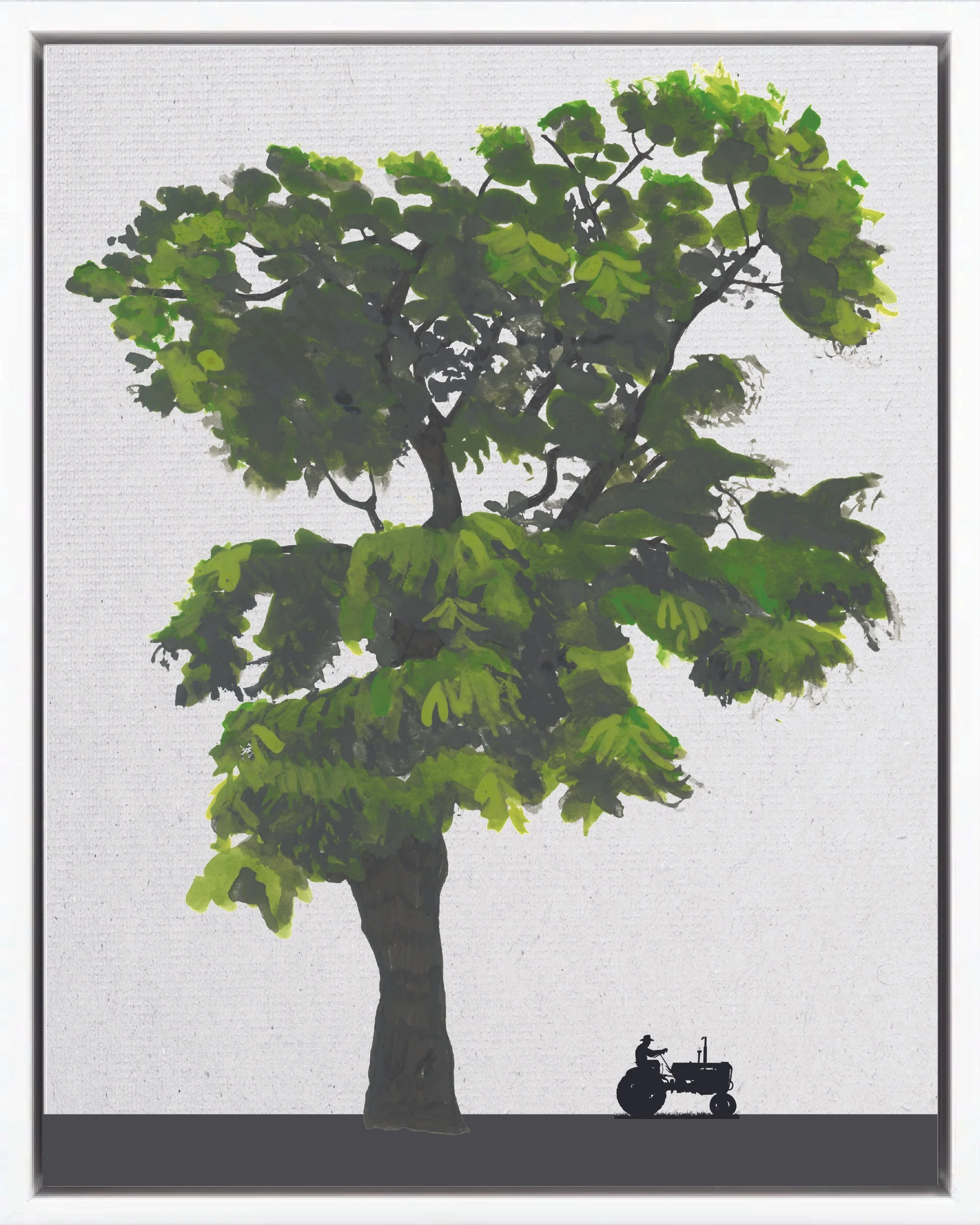Illustration of Caobilla (Crabwood, cedro macho, andiroba), Carapa guianensis, climax canopy reforestation tree of Costa Rica's Neotropical Isthmian-Atlantic slope, at mature height with figure for scale.