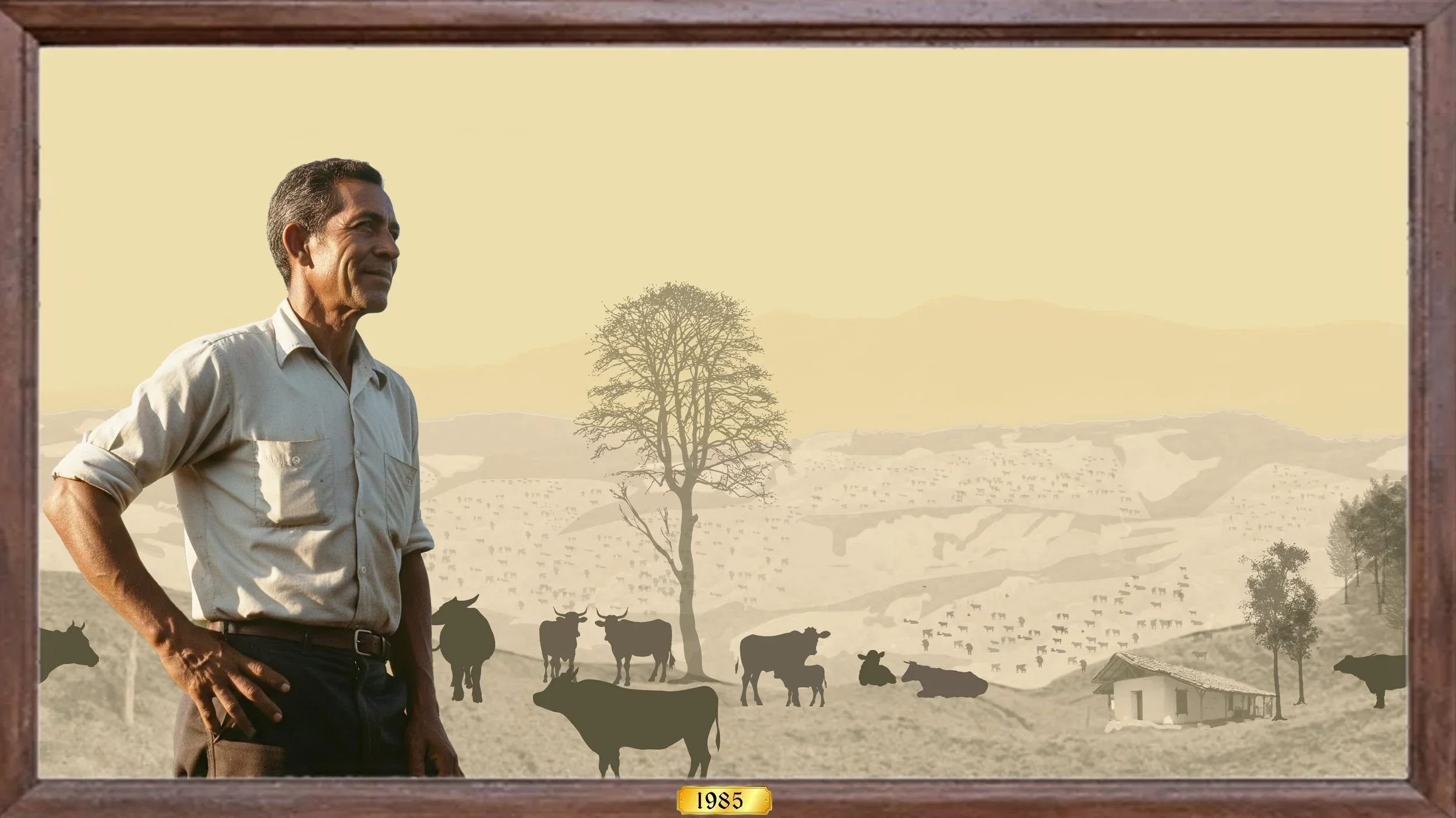 A collage by Malcolm Wyer visualizes Costa Rica deforestation and cattle grazing land use following the forest clearing period.