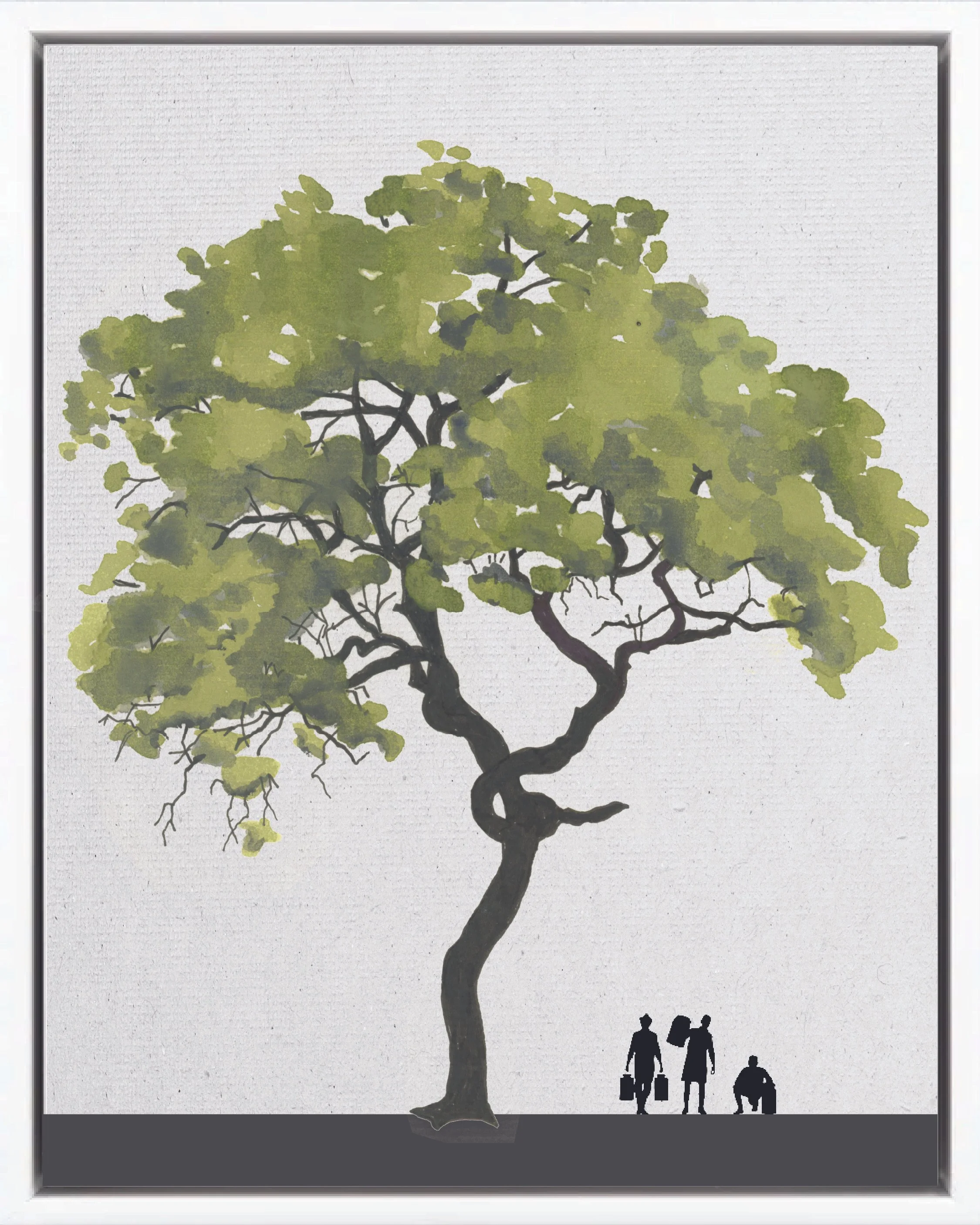 Illustration of Cortez amarillo (Golden trumpet tree, corteza amarilla, guayacán amarillo), Handroanthus ochraceus, late secondary reforestation tree of Costa Rica's Neotropical Isthmian-Atlantic slope, at mature height with figure for scale.