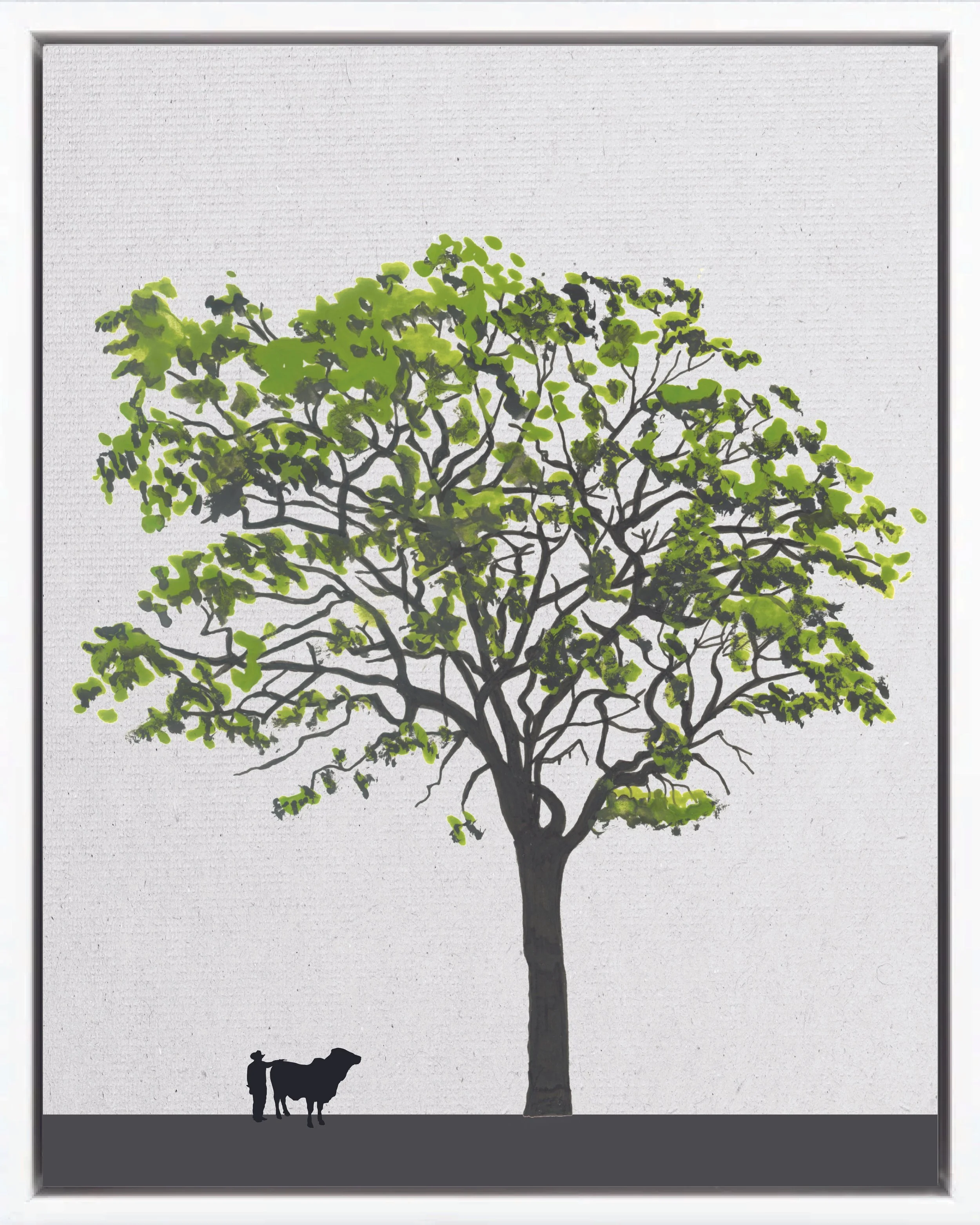 Illustration of Jacaranda (Copaia), Jacaranda copaia, early secondary reforestation tree of Costa Rica's Neotropical Isthmian-Atlantic slope, at mature height with figure for scale.