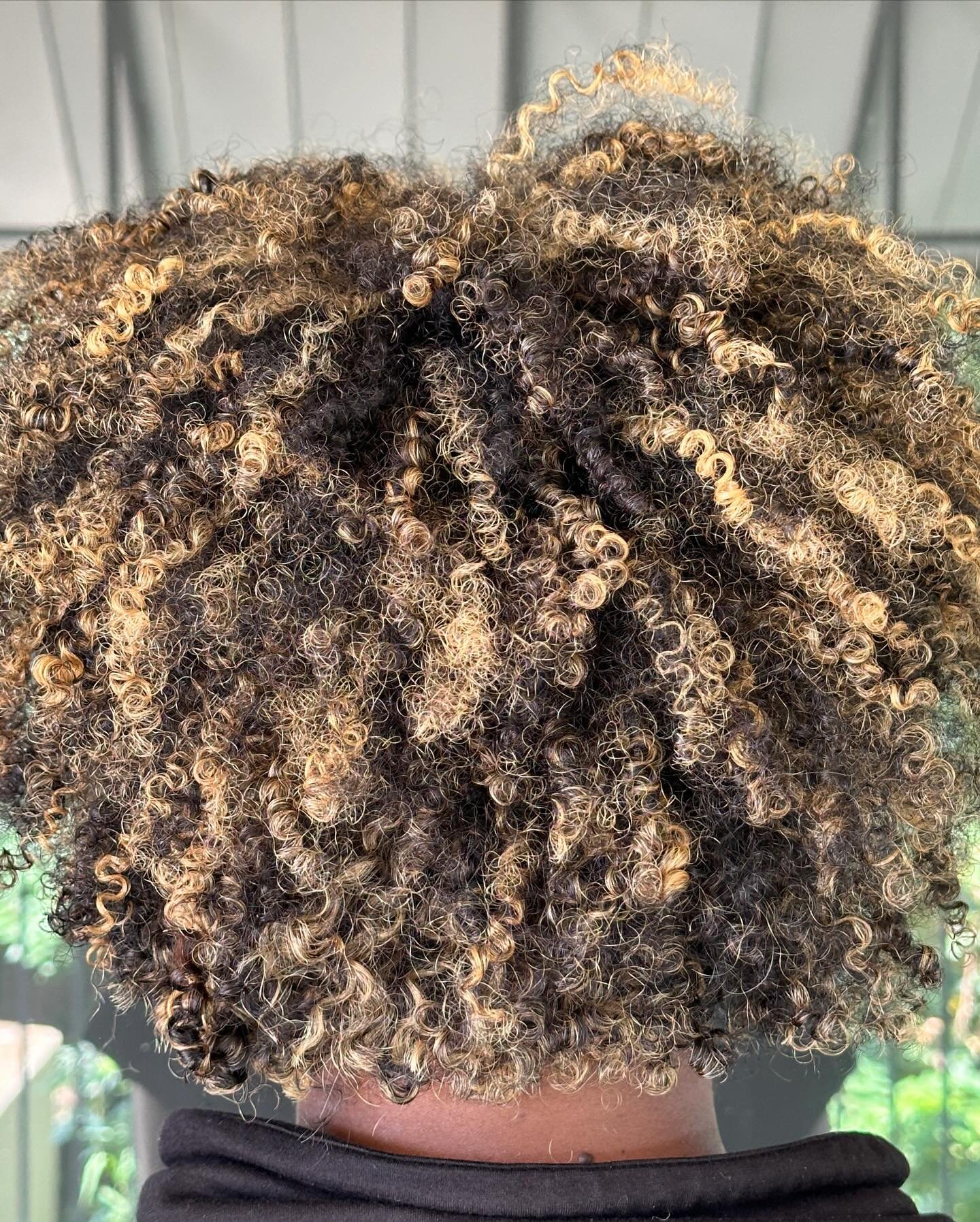 Who would&rsquo;ve thought?
The color that&rsquo;s making her curls her 😍 is chefs kiss
Ready to see what your hair can do?
.
#curlyhair #milwaukeecurlyhairspecialist #dfwnaturalhairstylist #dallascurlyhairspecialist #curlycolor #dallascolorist