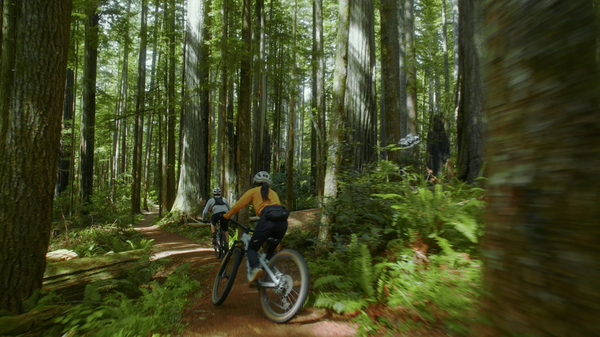 Still 2025-12-10 192746_2.42.2.jpg