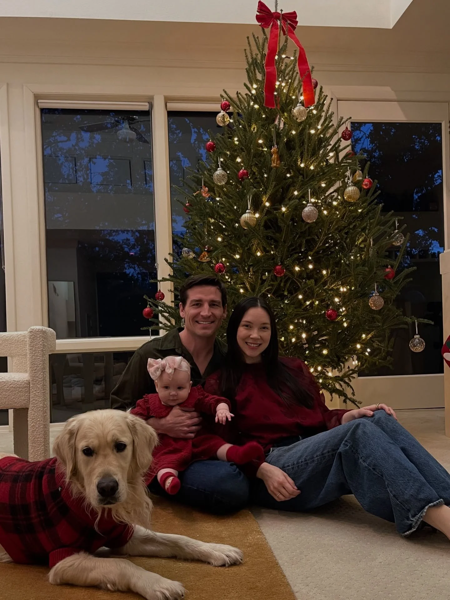 Merry Christmas 🎄