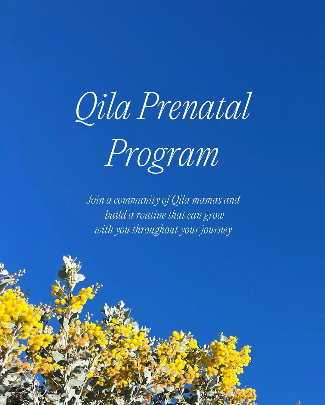 The prenatal program starts now! Build your routine, live or on demand, and learn lots of variations to meet the stage of your journey, whether you&rsquo;re pregnant, postpartum or just looking for a reset. 

$500 worth of prizes will be announced so