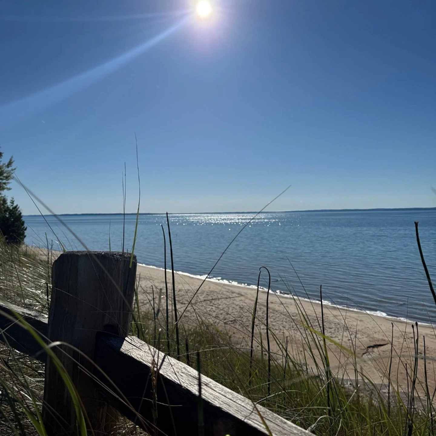 enjoying winter but missing summer. its the perfect time to start your summer project. #beaghaus #modernhomedesign #alwayscustom #puremichigan