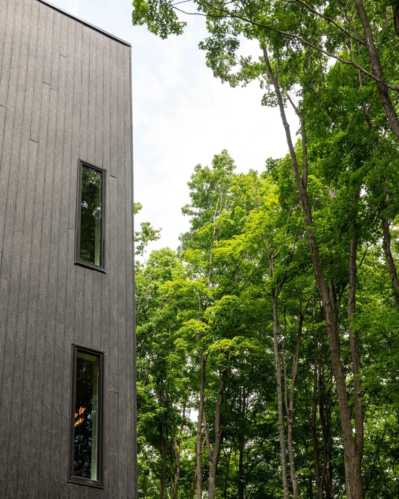 Architecture that doesn&rsquo;t compete.
#beaghaus
#alwayscustom
#modernarchitecture
#foresthouse
#minimaldesign