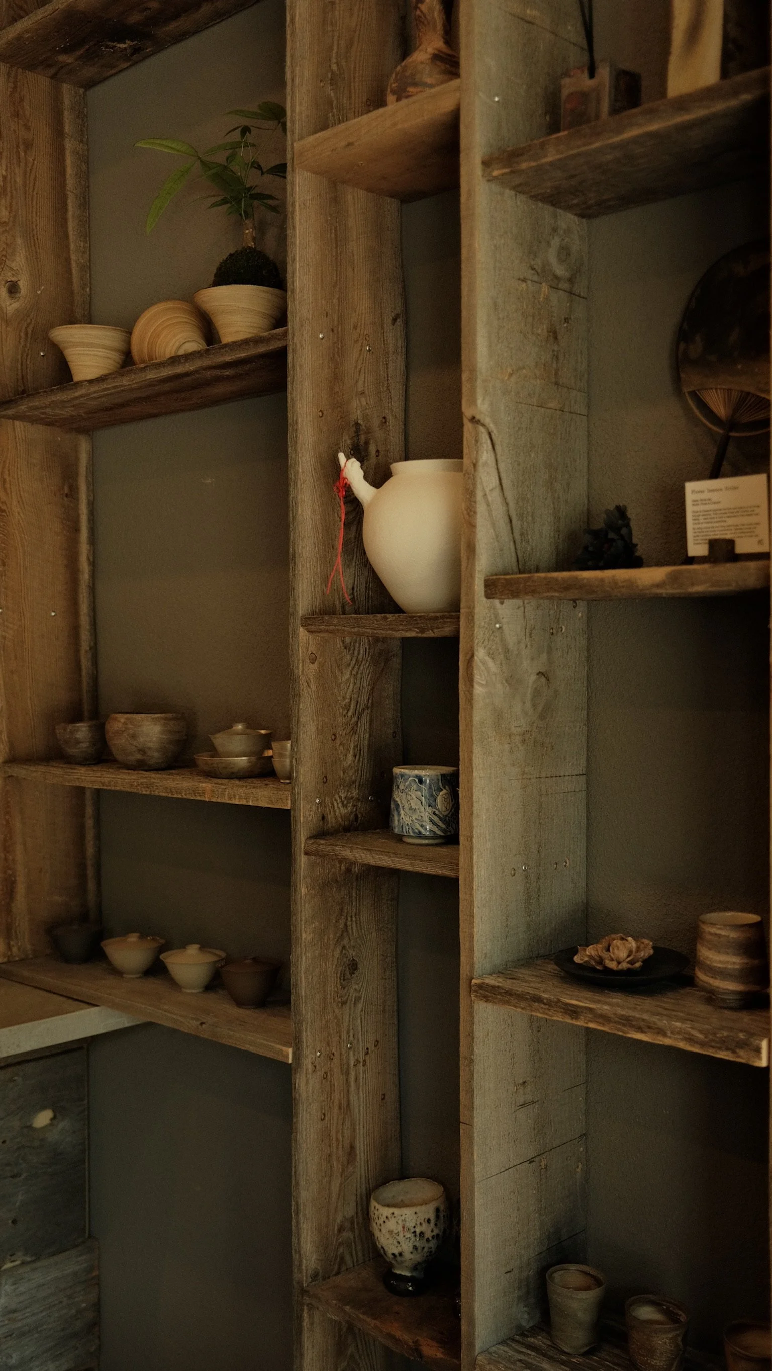 DSCF1713.JPG