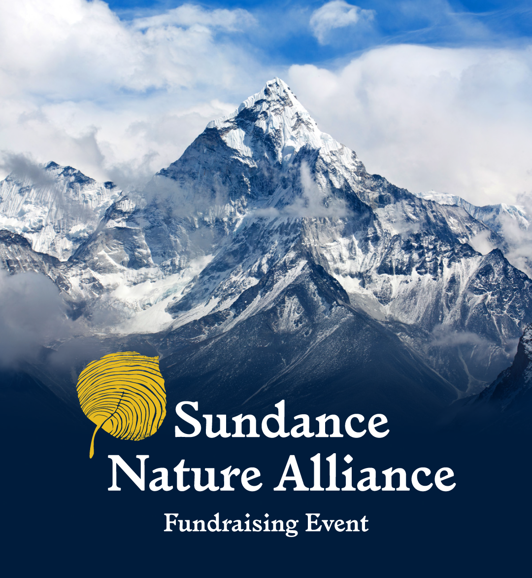 Everest-Heading-for-Event-02.png