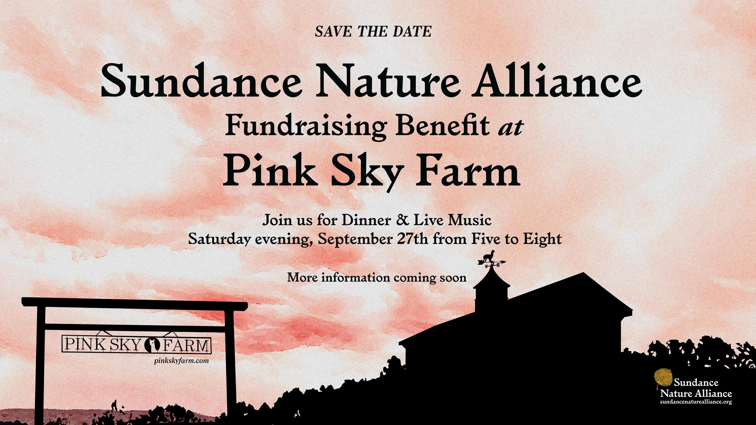 Pink Sky Fundraiser