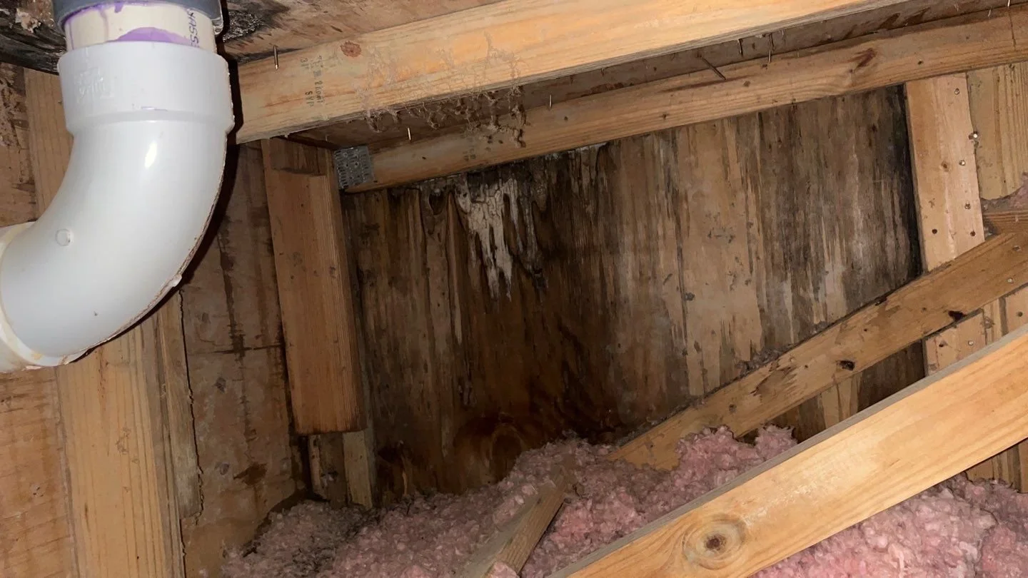 KITCHEN LEAK view of EAST block wall and TRUSSES.JPEG