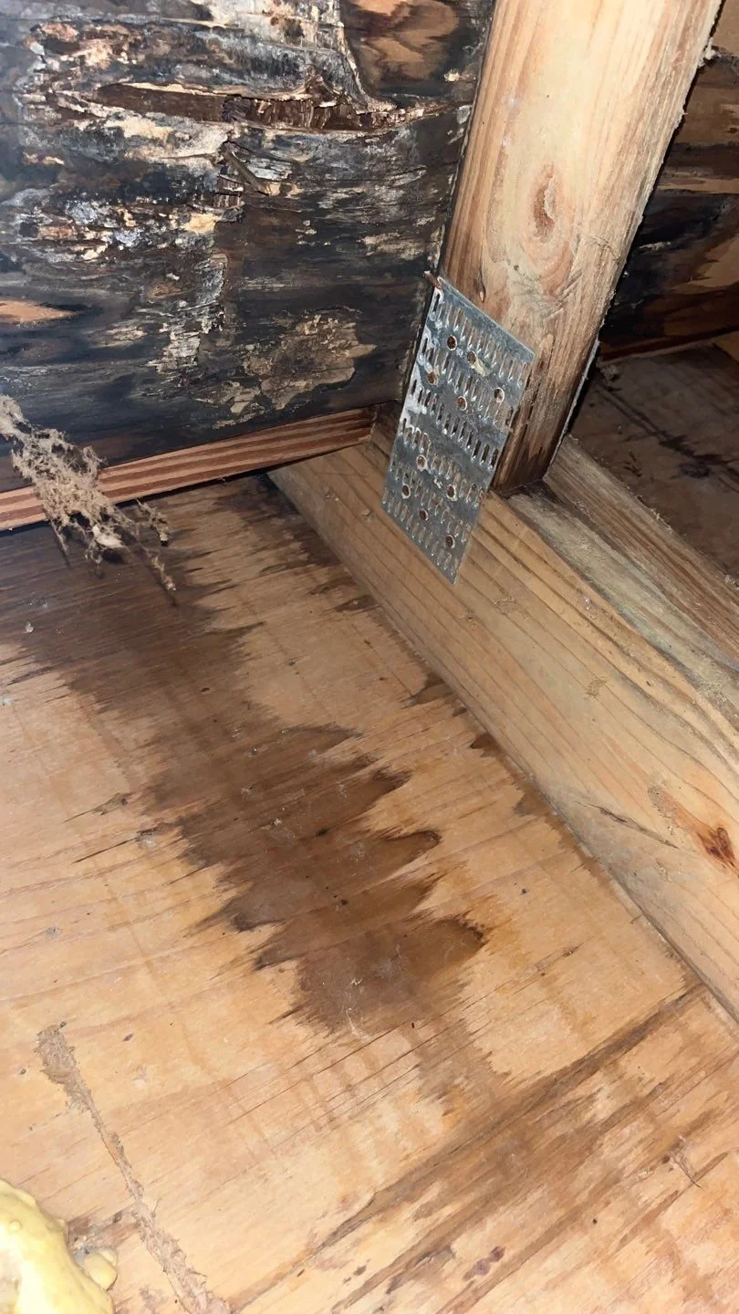 KITCHEN LEAK not clear where exactly this is in the NE corner of KITCHEN 2.JPEG