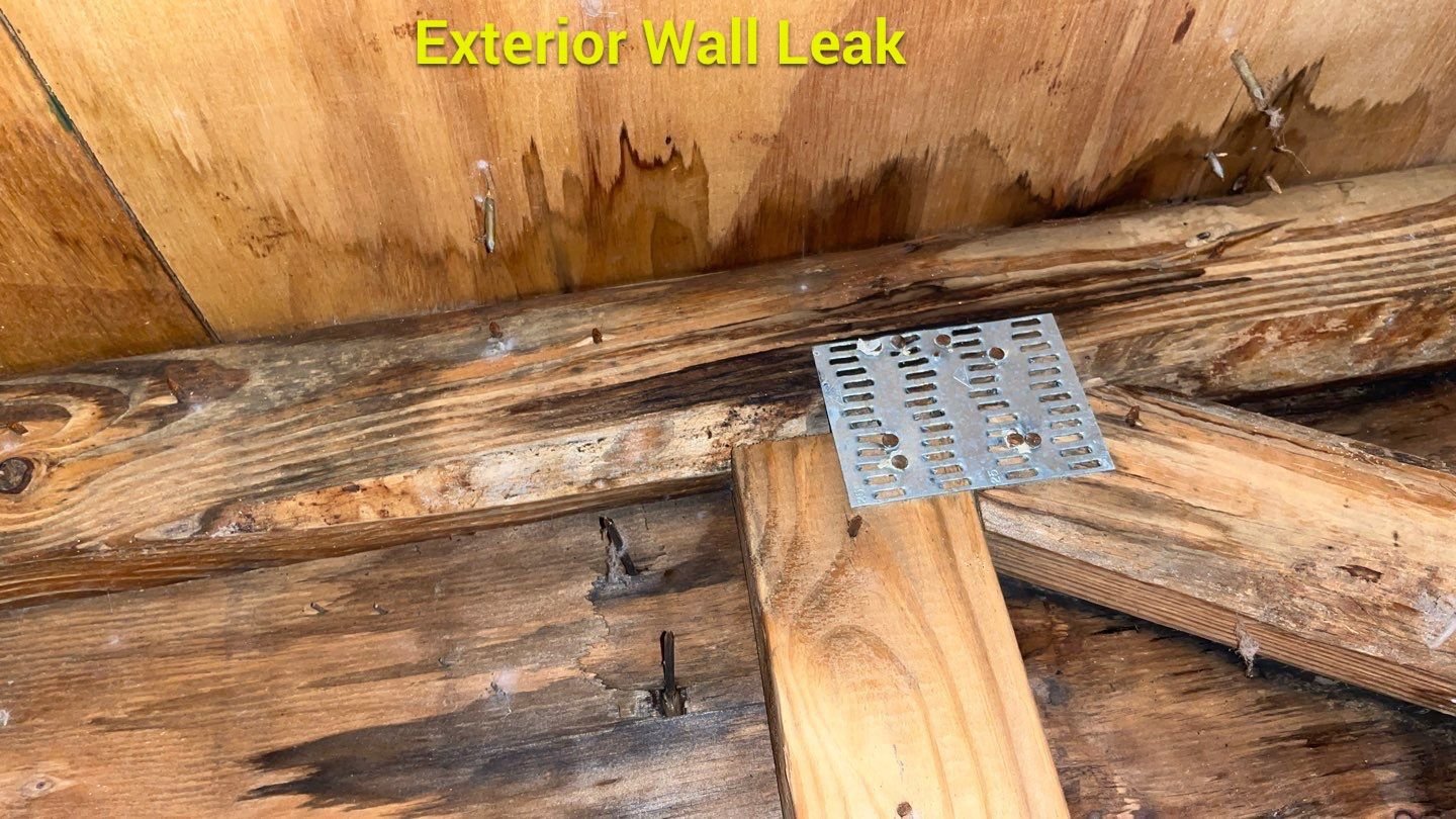 PURPLE ROOM EAST FACING WALL no corresponding INTERIOR LEAKS to this leak 3.JPEG