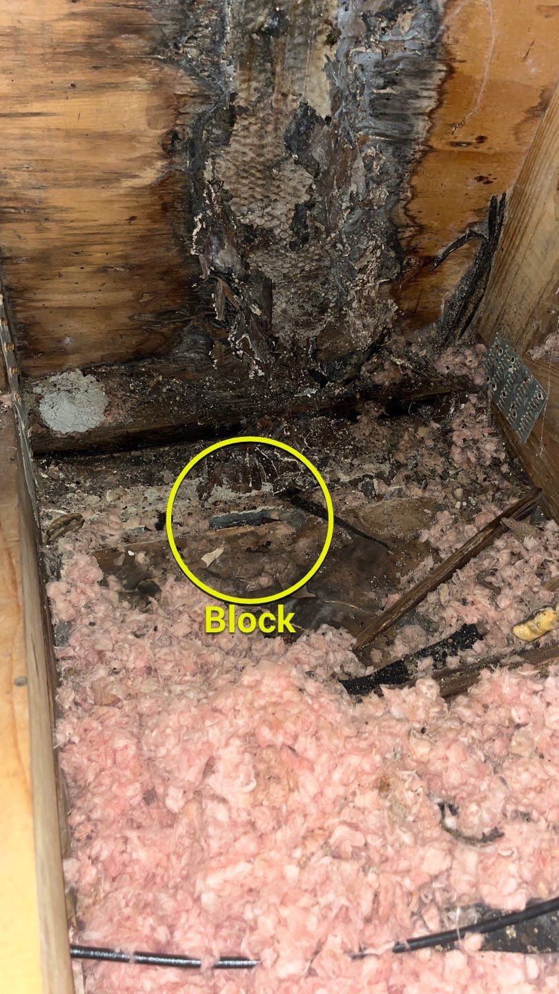 HOUSE Leak INSIDE ATTIC in Front Great Room View of inside SOUTH WALL SW corner of house BLOCK WALL.JPEG